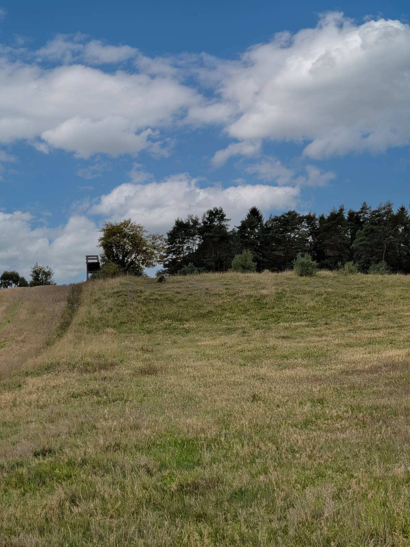 Gård med skogsbruk på Pantaregården 1:1 Sjöbo kommun - bild 5