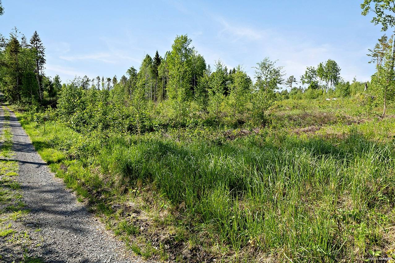 tomt på Sunne-Gärde 2:53 Orrviken, Östersunds kommun - bild 2