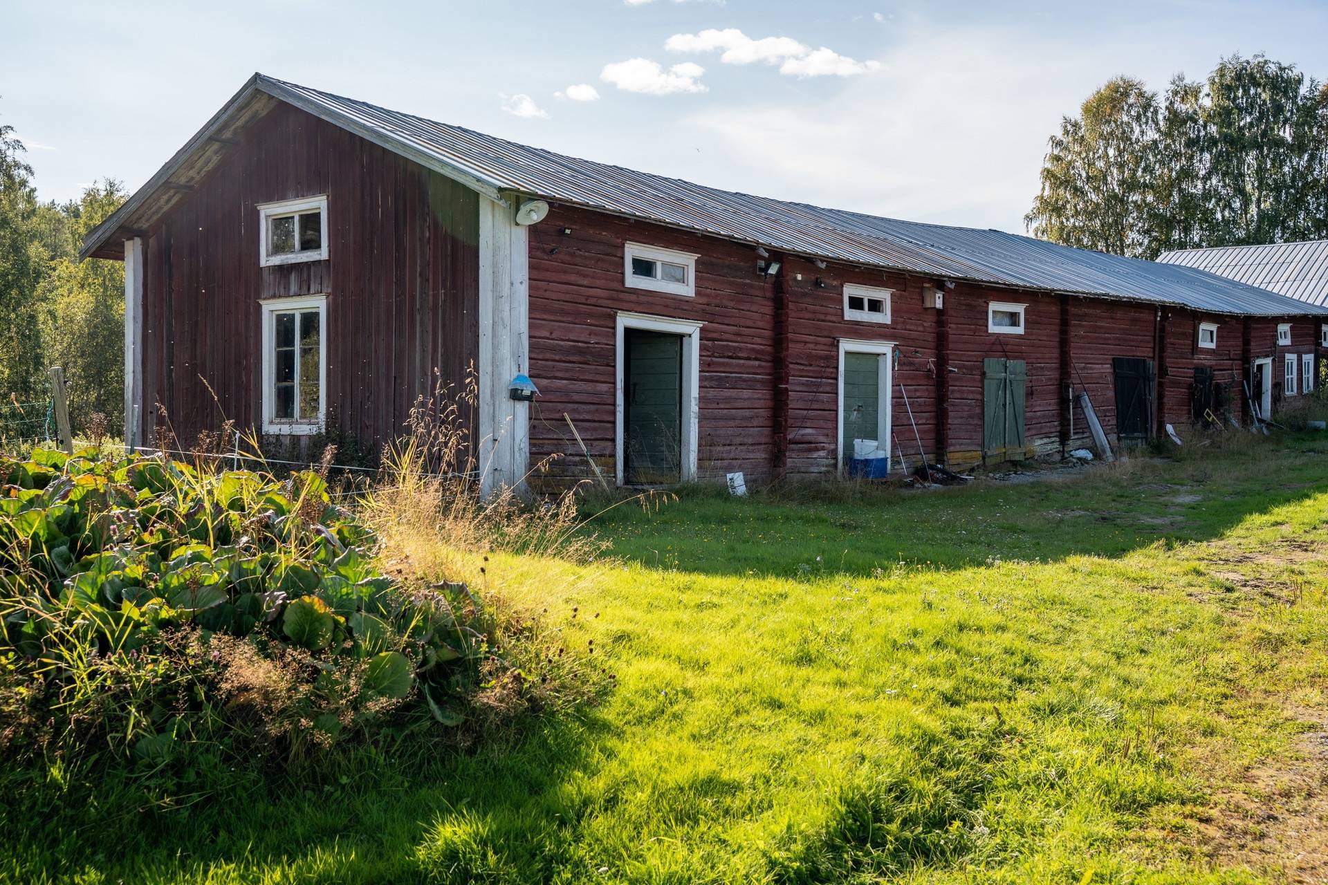 Gård med skogsbruk på Sollefteå Junsele-Vallen 2:9, Alderlund 1:11 & Junsele-Vallen 3:12 Sollefteå kommun - bild 34