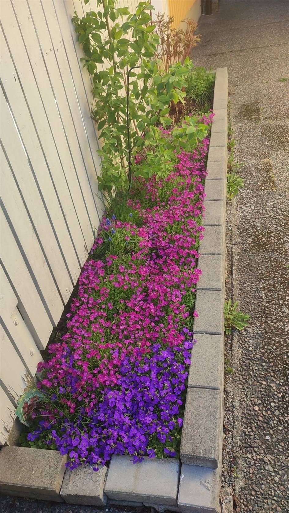 5 rum Kedjehus på Silkeborgsgatan 8 Kista Stockholms kommun - bild 47