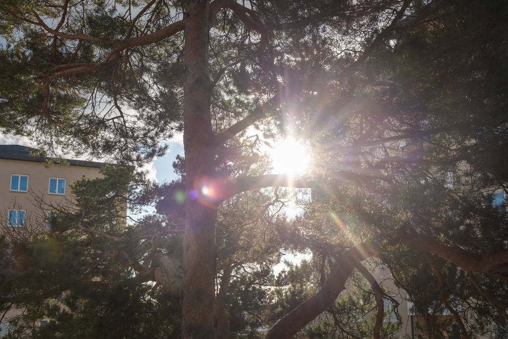 3 rum Lägenhet på Siljansvägen 74, 2,5 tr Årsta Stockholms kommun - bild 27