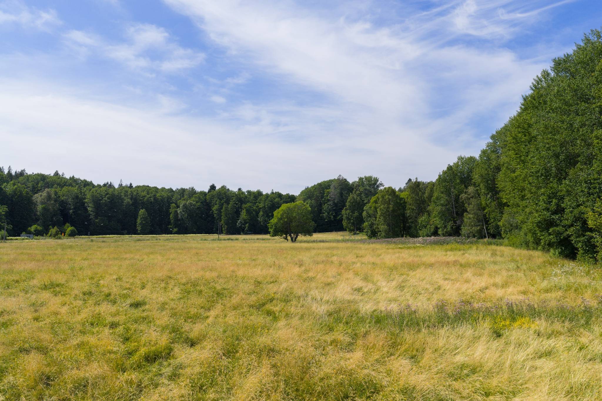 7 rum Gård/skog på Södertäljevägen 110 Haninge kommun - bild 59
