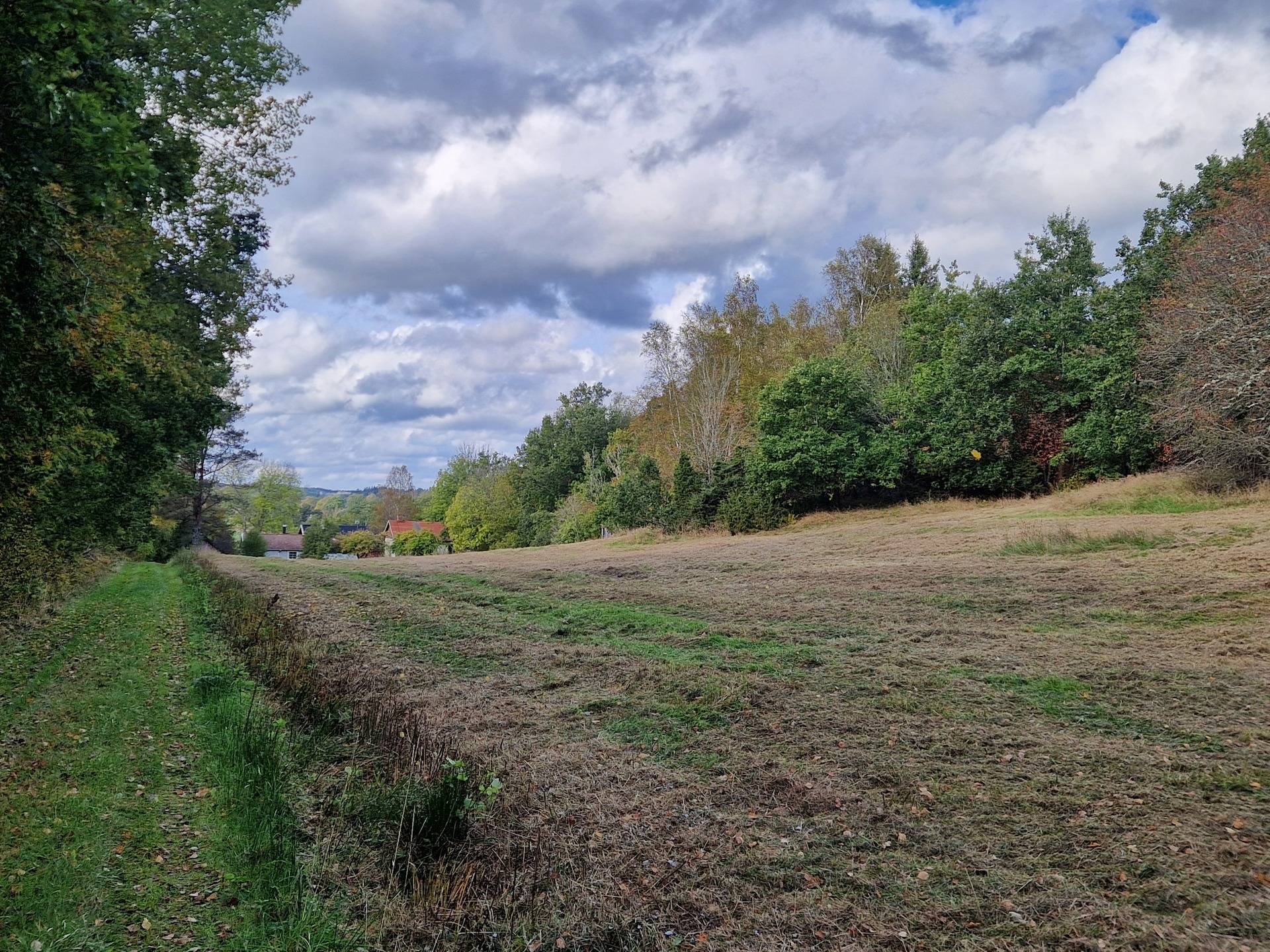 100 m² Gård med skogsbruk på Öxna 21 Munkedals kommun - bild 33