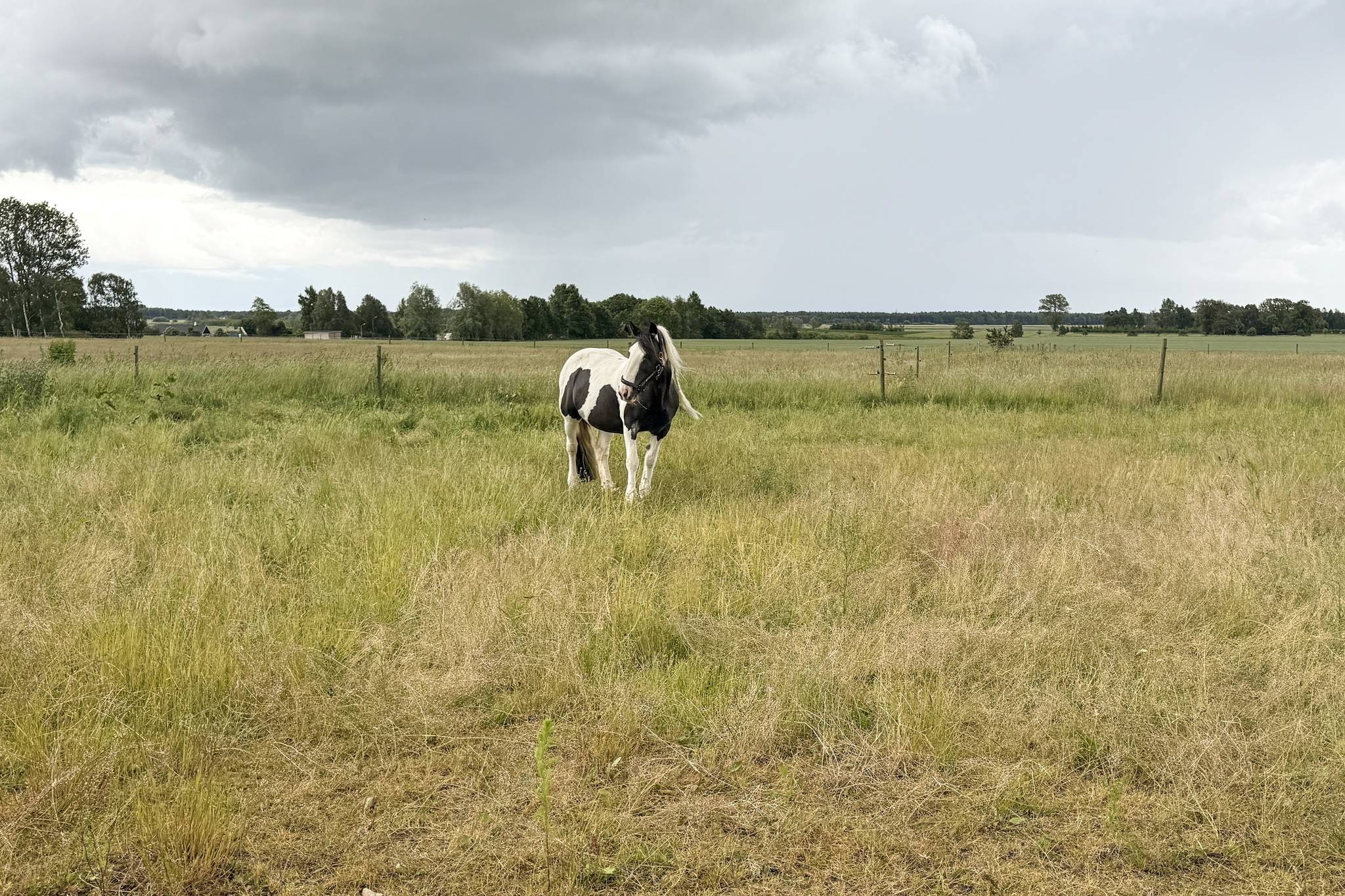 10 rum Gård/skog på Bostället i Stora Herrestad, Mensalvägen 109 Stora Herrestad Ystads kommun - bild 4