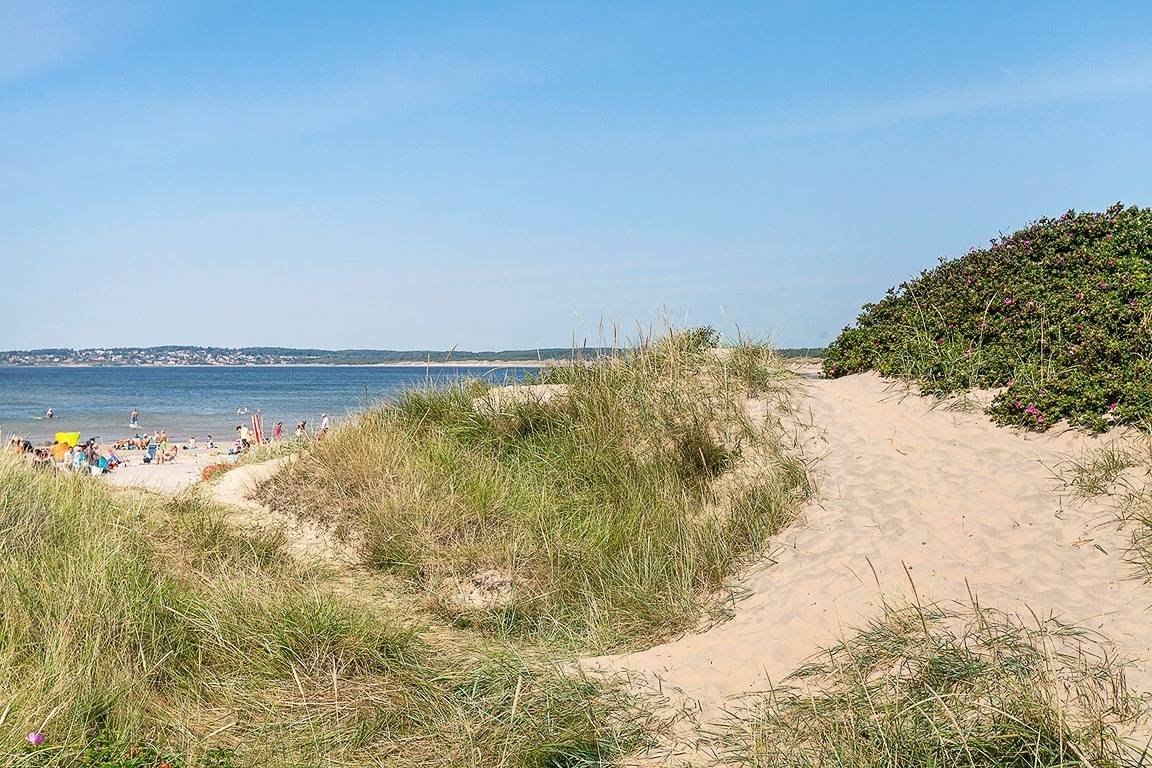 3 rum Fritidshus på Kronoskogsvägen 24 Villshärad Halmstads kommun - bild 17