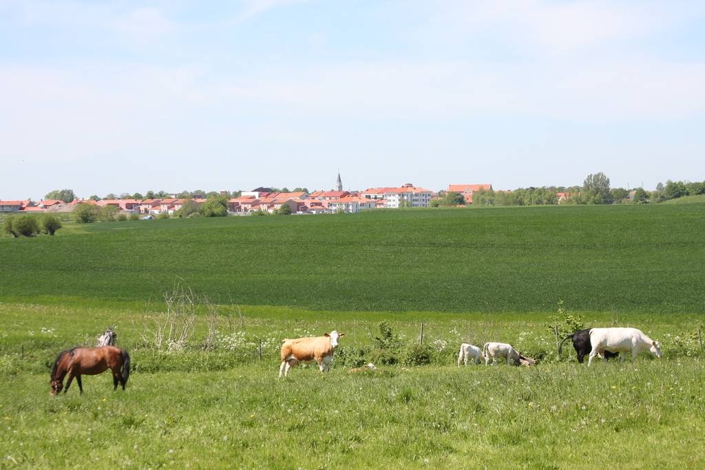 7 rum Villa på Apollofjärilgatan 1 Erlandsdal Svedala kommun - bild 47
