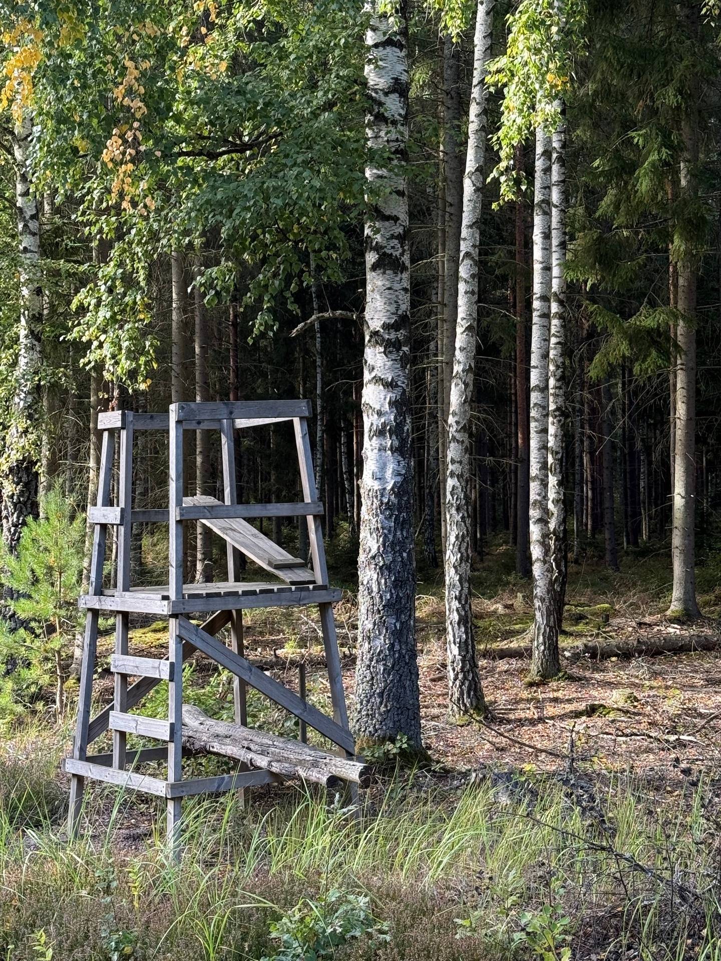 Gård med skogsbruk på Pilagården Lidköpings kommun - bild 9