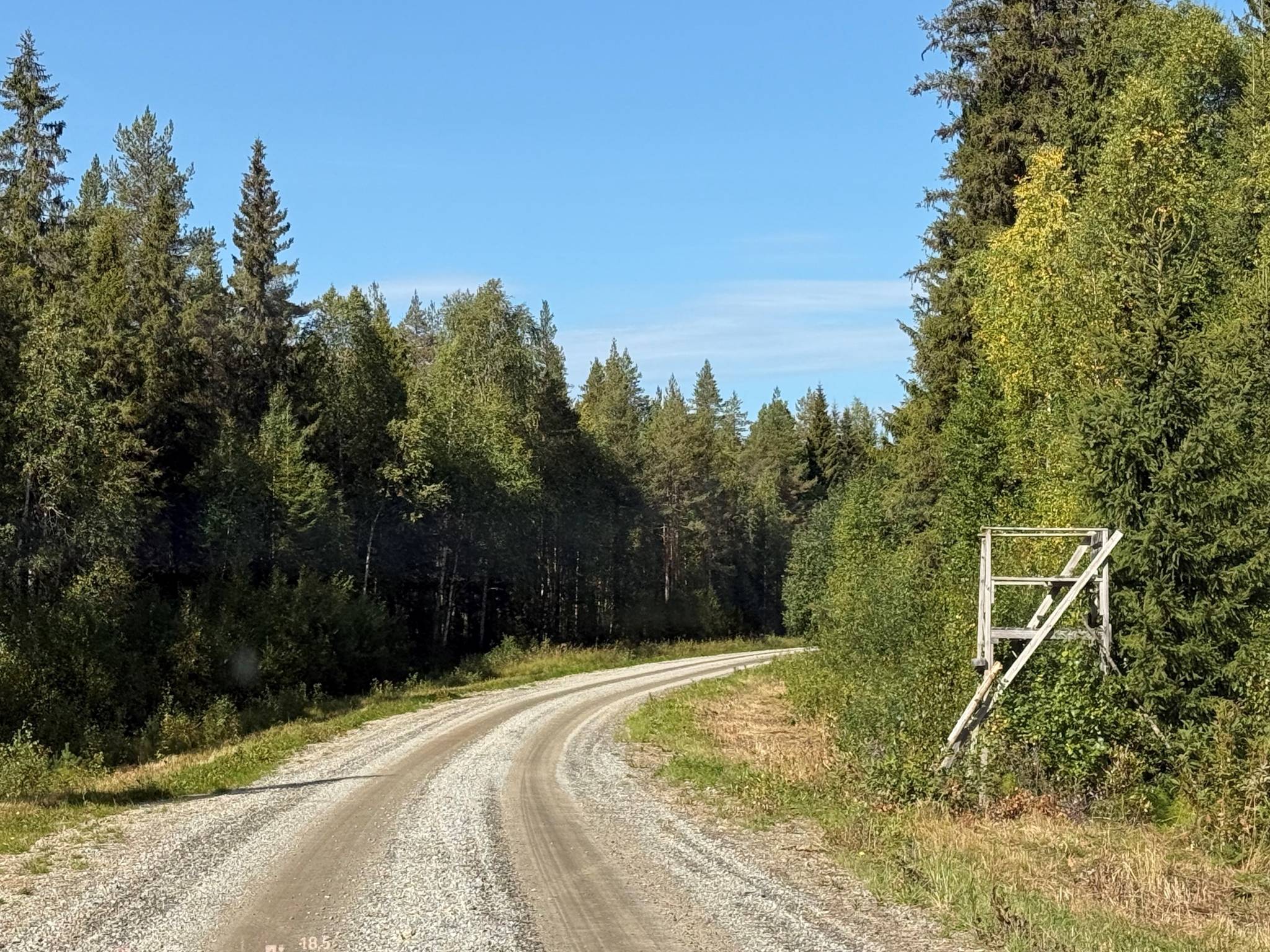Gård med skogsbruk på Skogsegendomen Hedlunda 72 ha vid Umeälven Vindelns kommun - bild 35