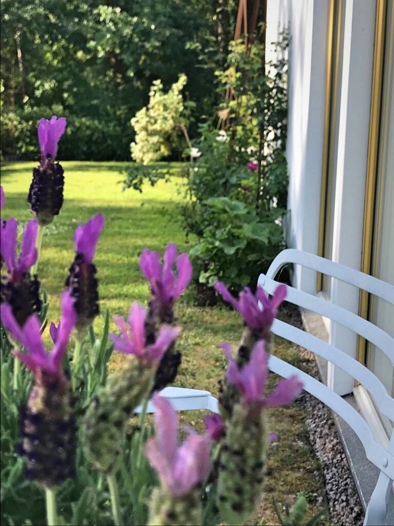 4 rum Villa på Kanotvägen 9 Hätte Tranås kommun - bild 36