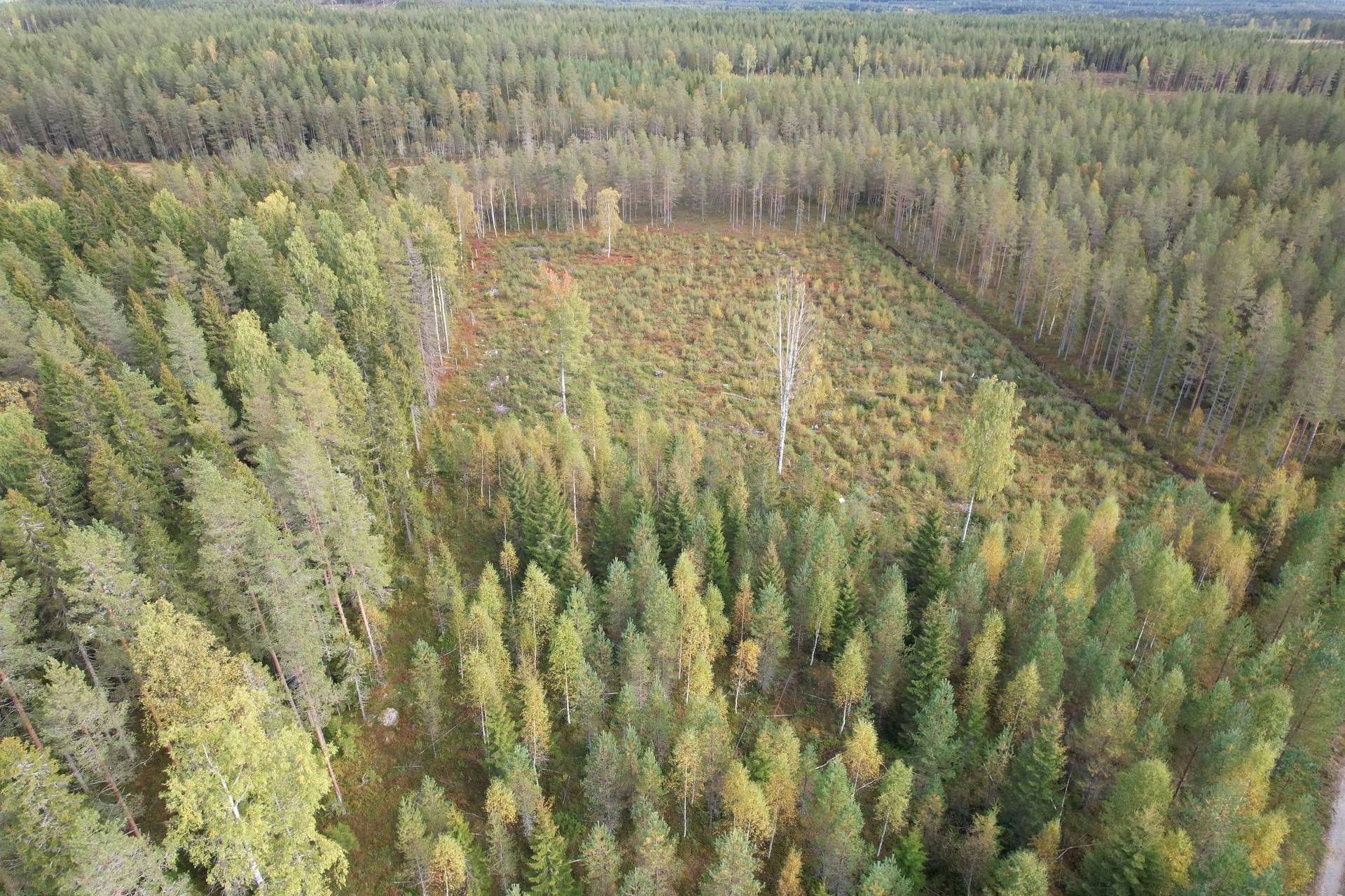 6 rum Gård med jordbruk på Mullsjö 85 Nordmalings kommun - bild 54