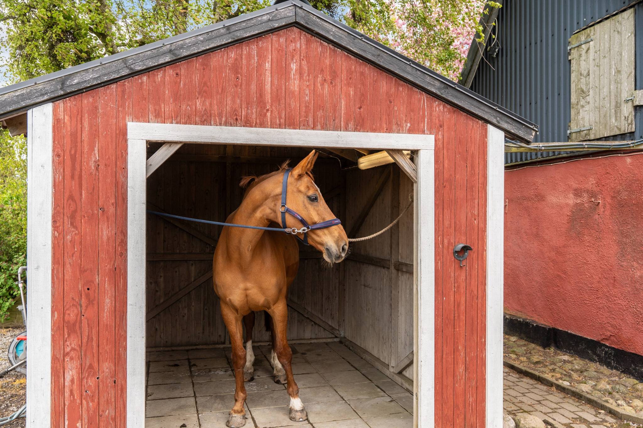 7 rum Villa på Hassle Bösarp 1216 Skurup Skurups kommun - bild 34
