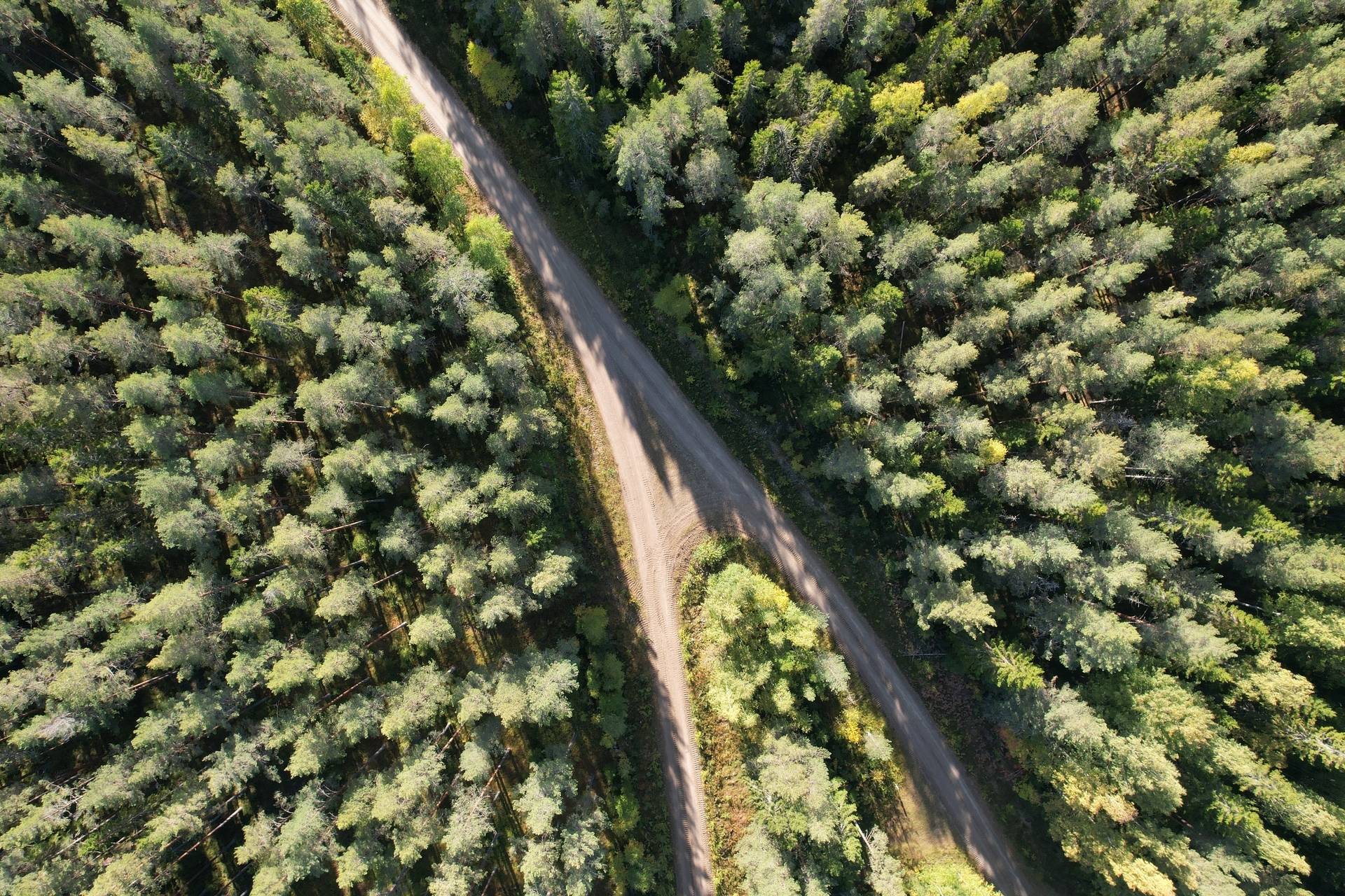 Gård med jordbruk på Sömskars skogen Sandvikens kommun - bild 23