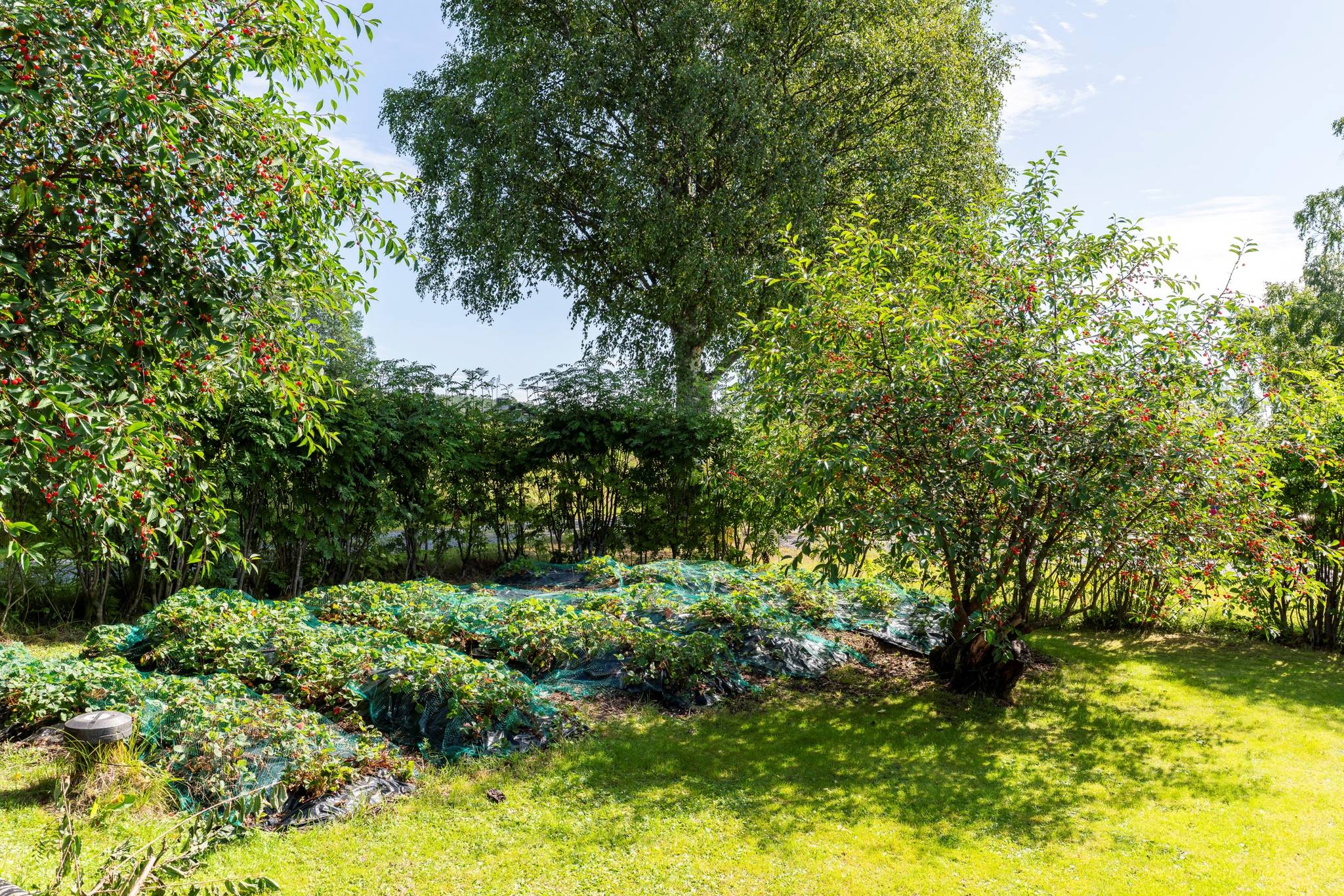 4 rum Villa på Yttre-Långviken 116 Tavelsjö Umeå kommun - bild 29