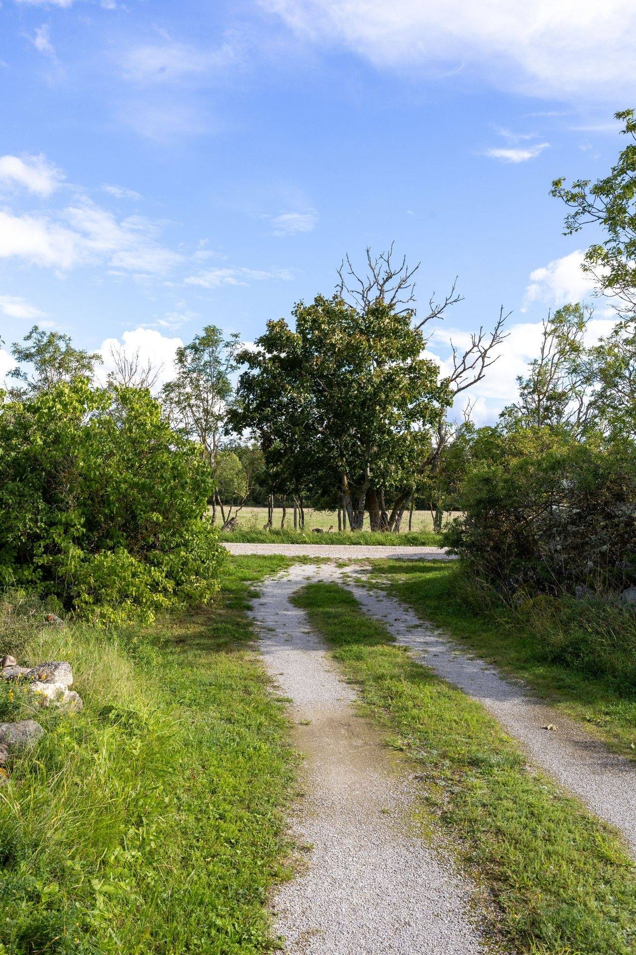 2 rum Vinterbonat fritidshus på Kräklingbo Tings 628 Katthammarsvik Gotlands kommun - bild 39