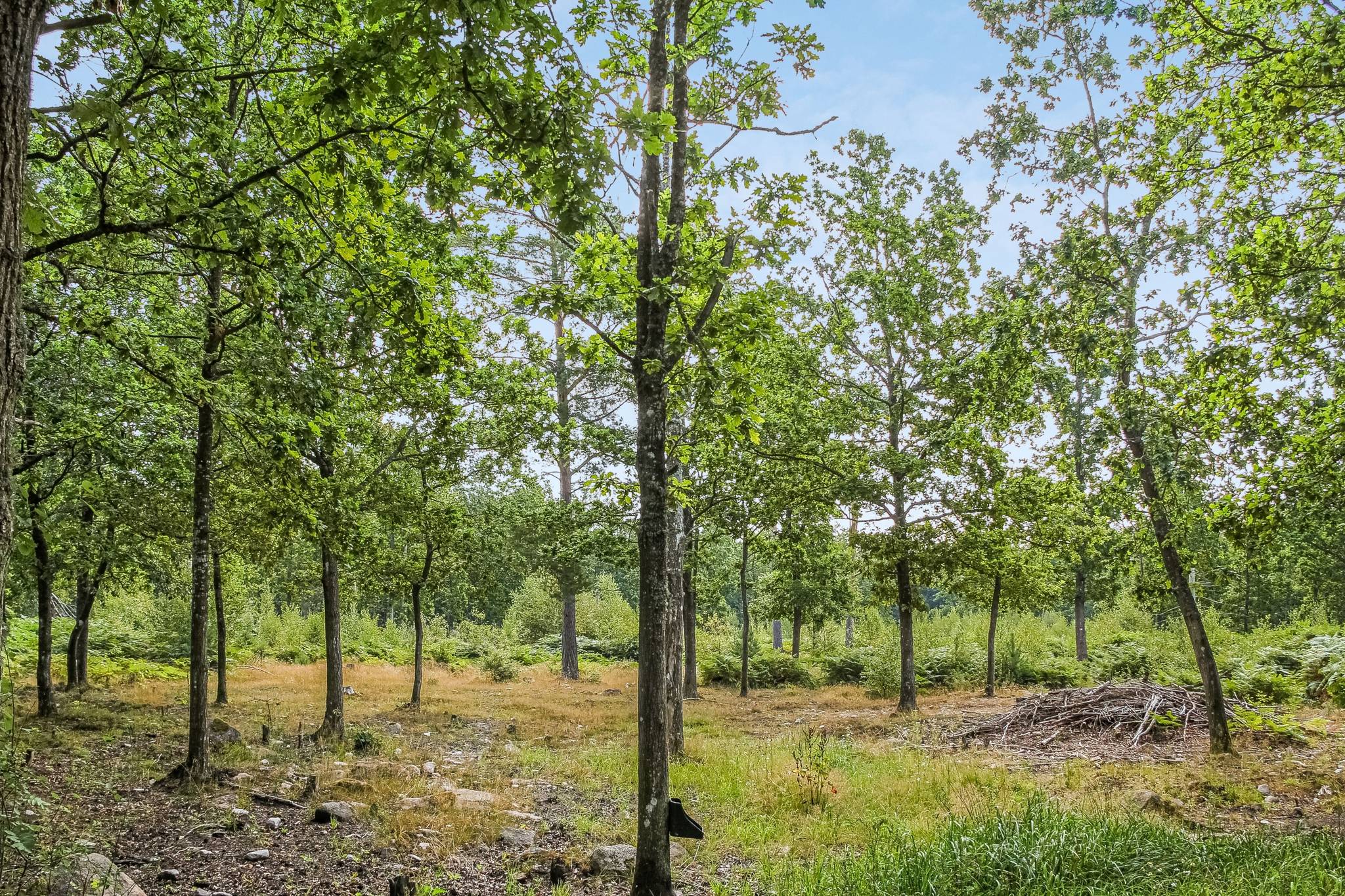 129 m² Gård med jordbruk på Hallagatan 36 Jämjö Karlskrona kommun - bild 40