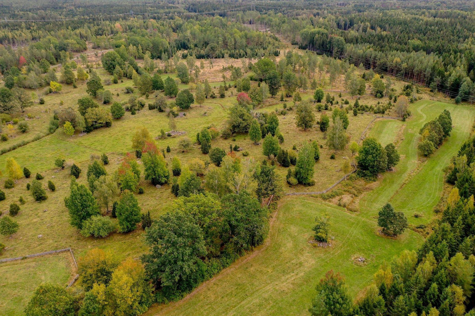 4 rum Gård/skog på Stormandebo Koltorp Västervik/Vimmerby Västerviks kommun - bild 9