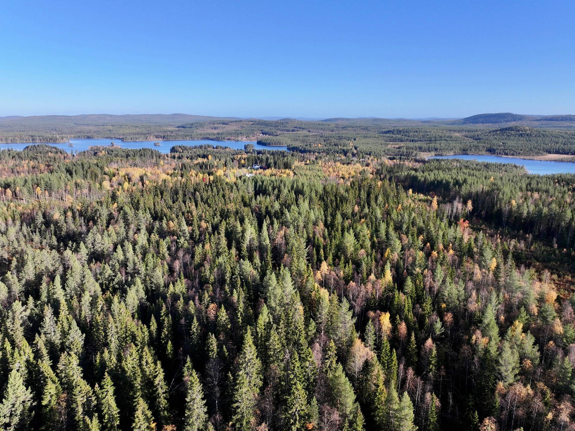 Gård/skog på Holmträsk 40 Örnsköldsviks kommun - bild 12