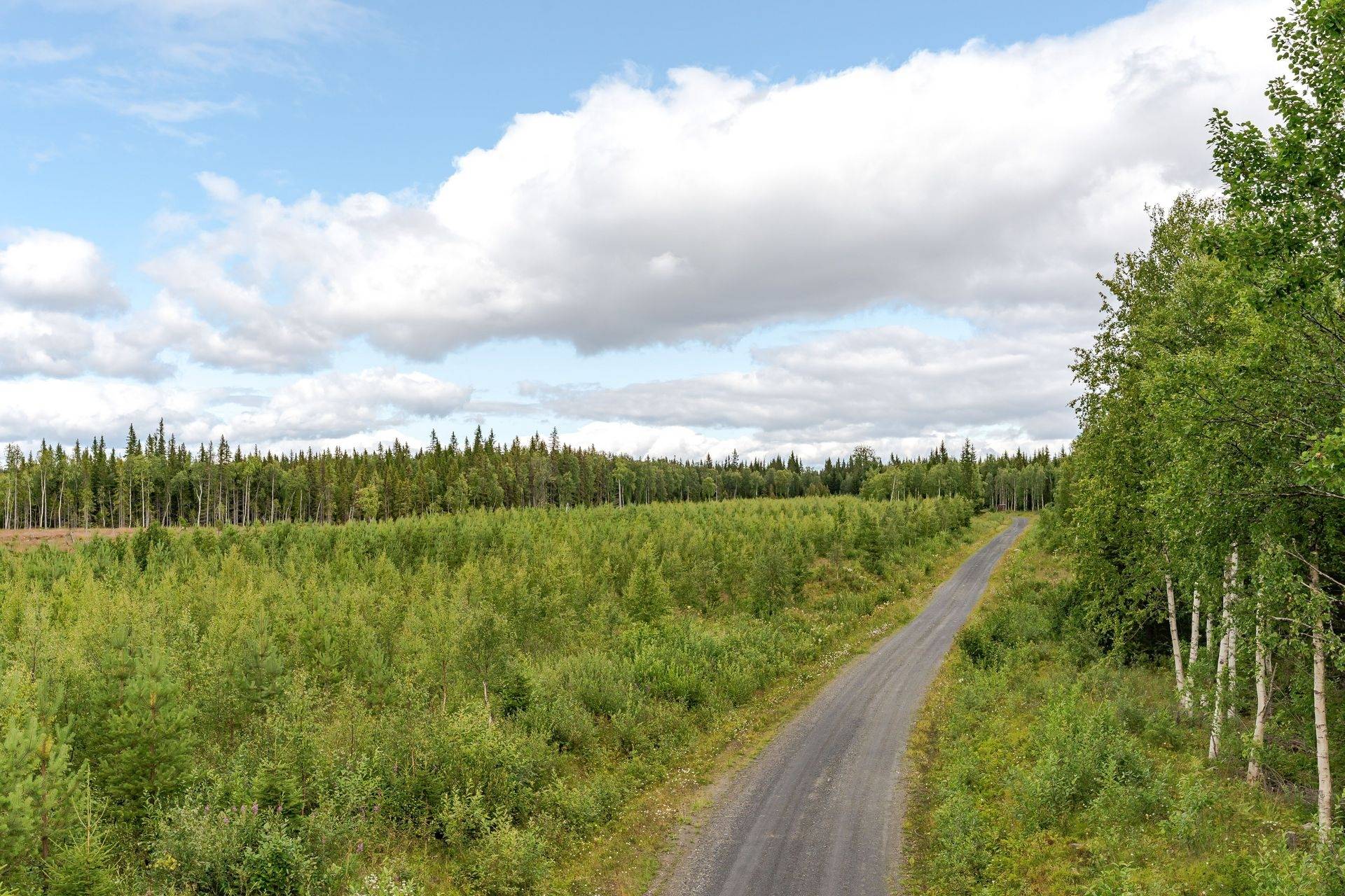 Gård med jordbruk på Högenvägen 29 Hallen Åre kommun - bild 61