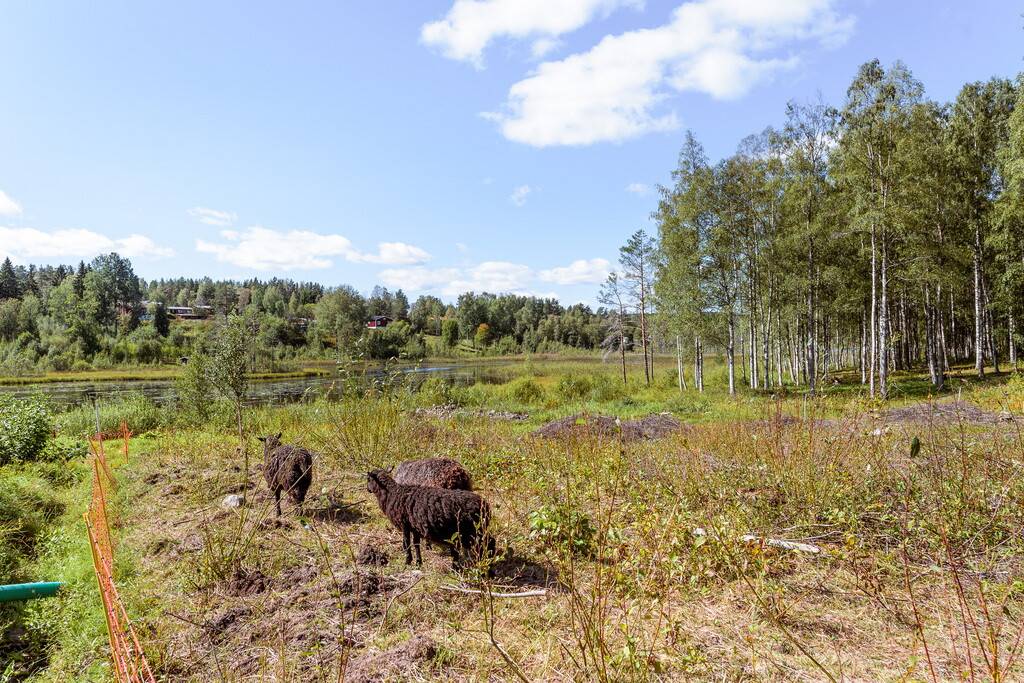1 rum Fritidsboende på Kolonilott nr 146, Byggnaderna på ofri grund med arrenderätt, inom Koloniföreningen Falan Önsbacken Falu kommun - bild 31