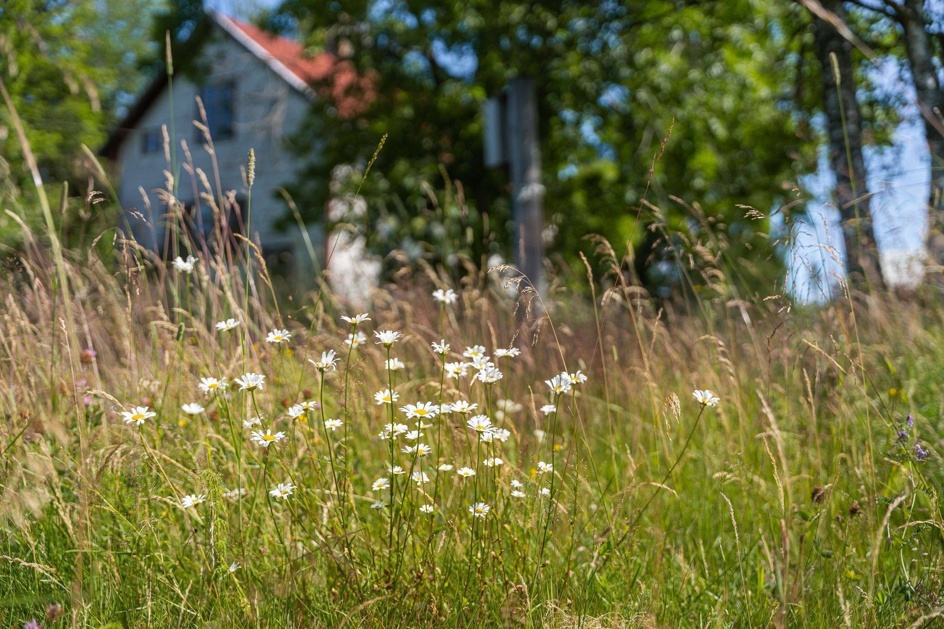 3 rum Villa på Bjurön 9 Storfors Storfors kommun - bild 27