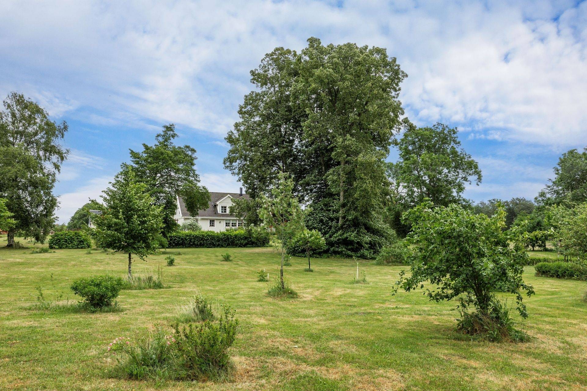 171 m² Gård med jordbruk på Andrarumsvägen 45 Degeberga Kristianstads kommun - bild 44