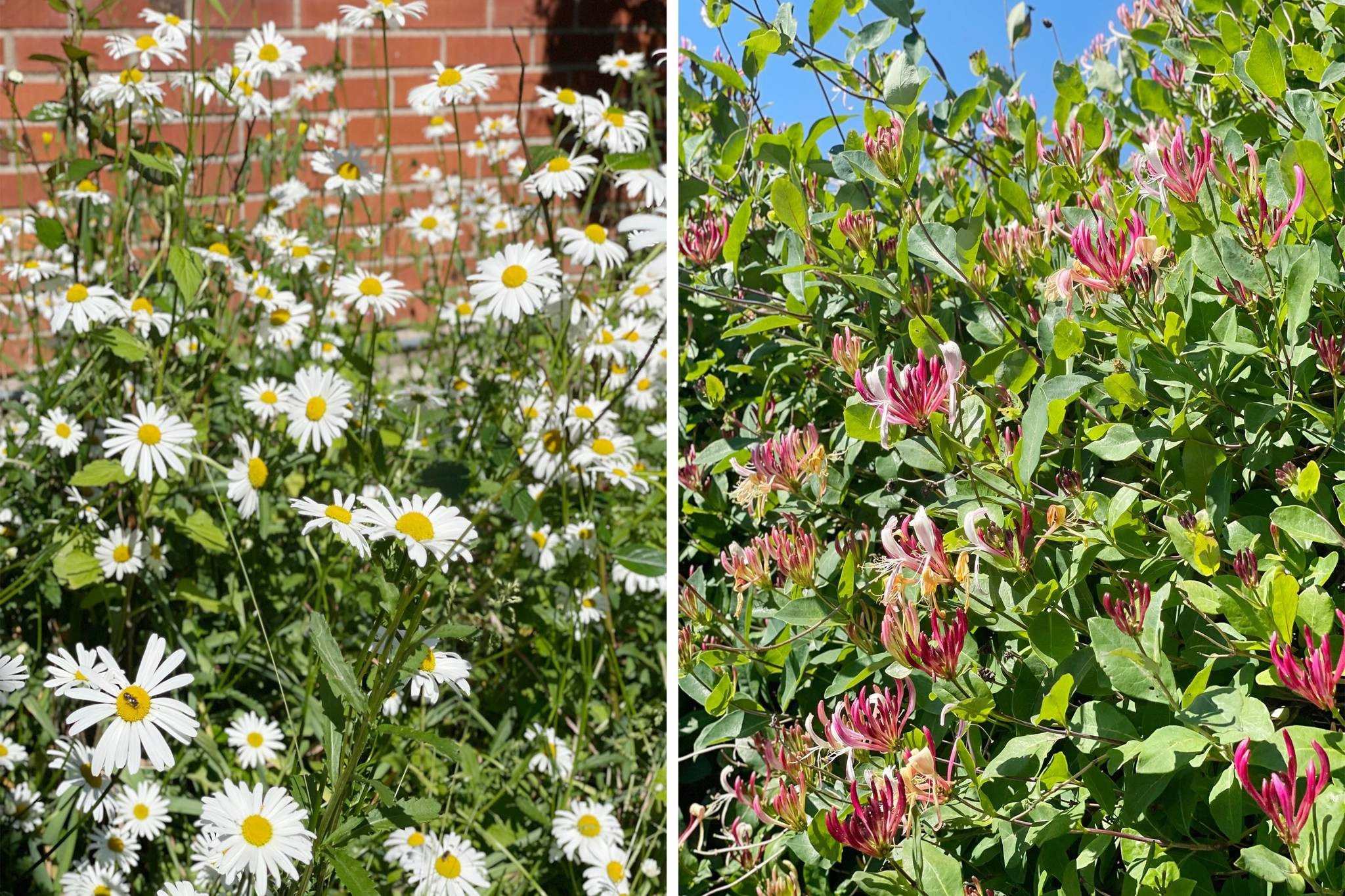 5 rum Villa på Sparvens väg 2 Stavsnäs Värmdö kommun - bild 30