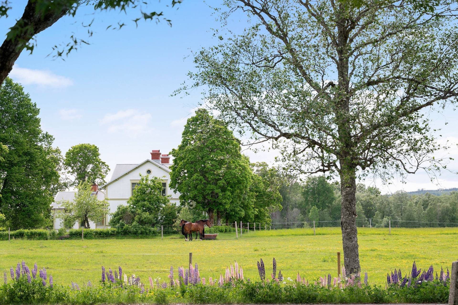 8 rum Villa på Forsvägen 15 Torsåker Hofors kommun - bild 27