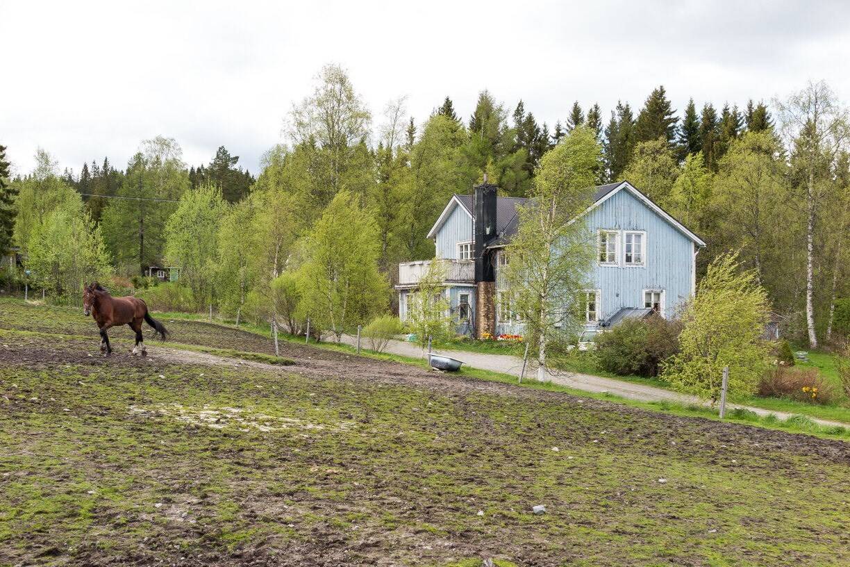5 rum Gård/skog på Sörsvedje 120 BJÄSTA Örnsköldsviks kommun - bild 13
