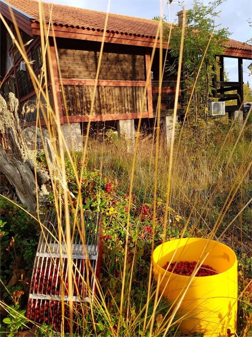 3 rum Fritidsboende på Kallsjösätervägen 460 Kläppen Malung-Sälens kommun - bild 23