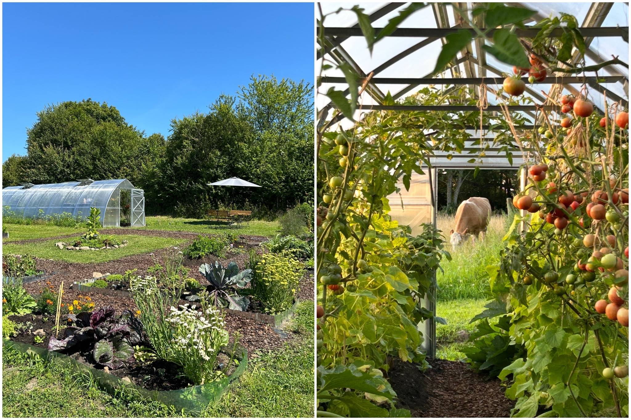 205 m² Gård/skog på Stenshuvudvägen 7 Simrishamns kommun - bild 108