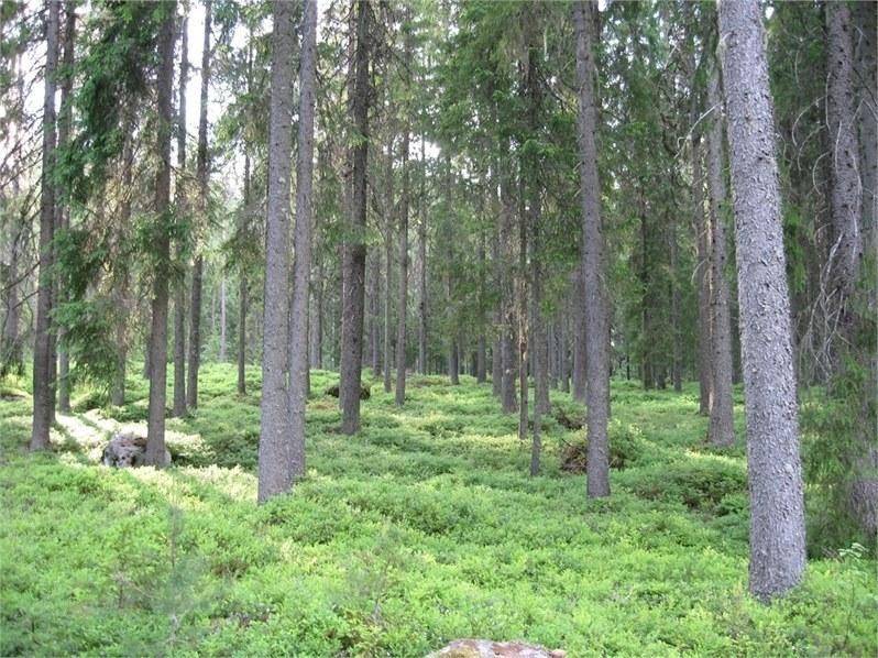 Hudiksvalls kommun