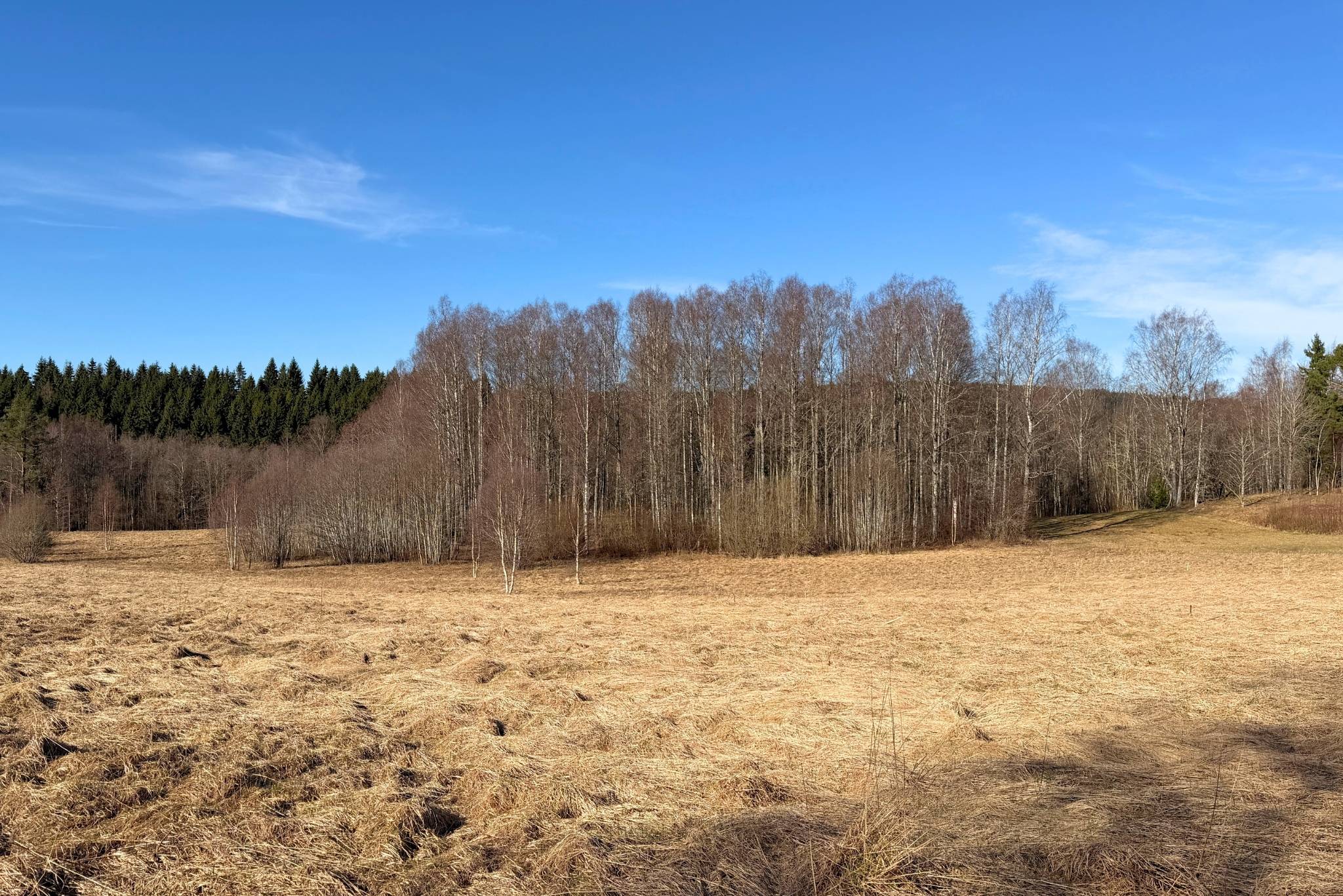 126 m² Gård med skogsbruk på Västra Skyberg Anneberg 1 Västra Skyberg Arvika kommun - bild 21