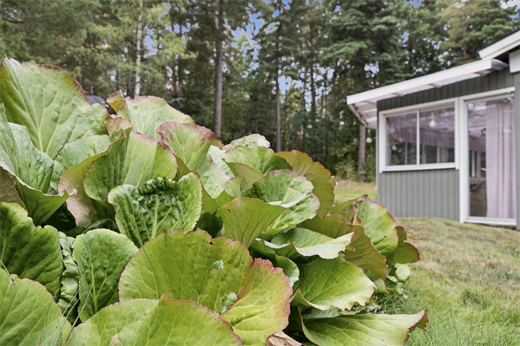 8 rum Villa på Asphagsvägen 6A Hällby Eskilstuna kommun - bild 66