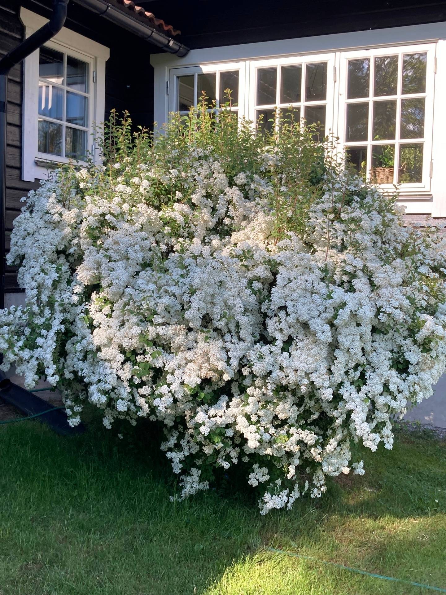 5 rum Vinterbonat fritidshus på Fogdö Berga 8 Fogdö Strängnäs kommun - bild 31