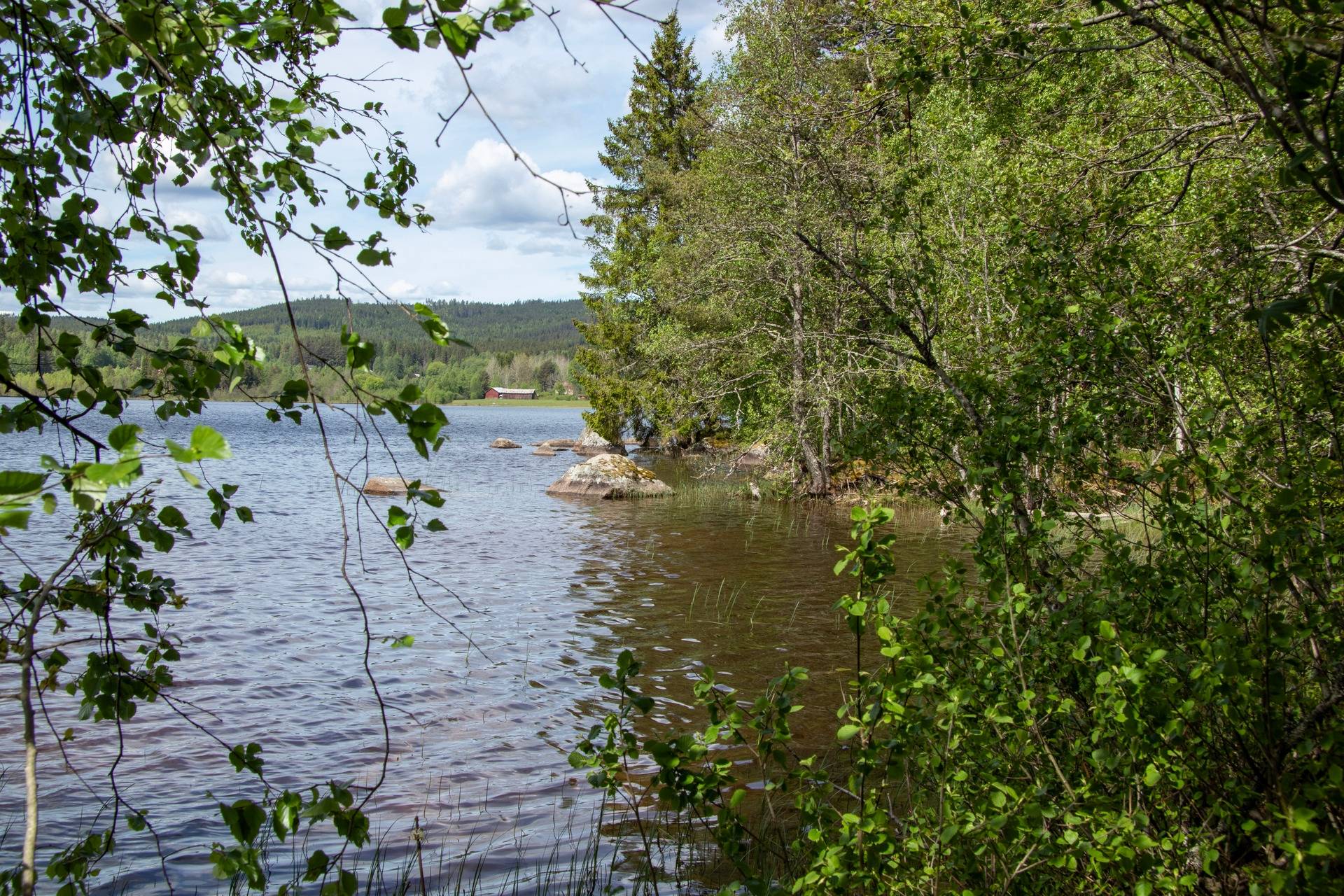 81 m² Gård med jordbruk på Västanberg Rånäs Hagfors kommun - bild 38