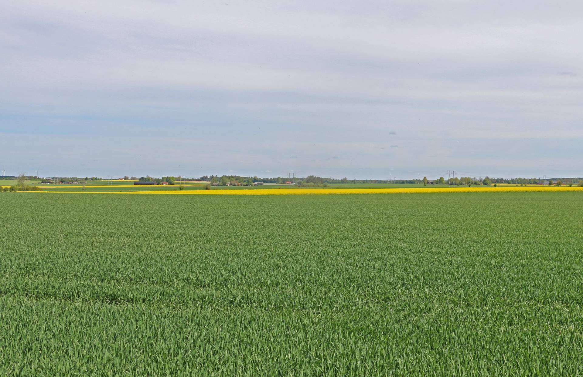 Gård med jordbruk på Skattegården Mjölby kommun - bild 10
