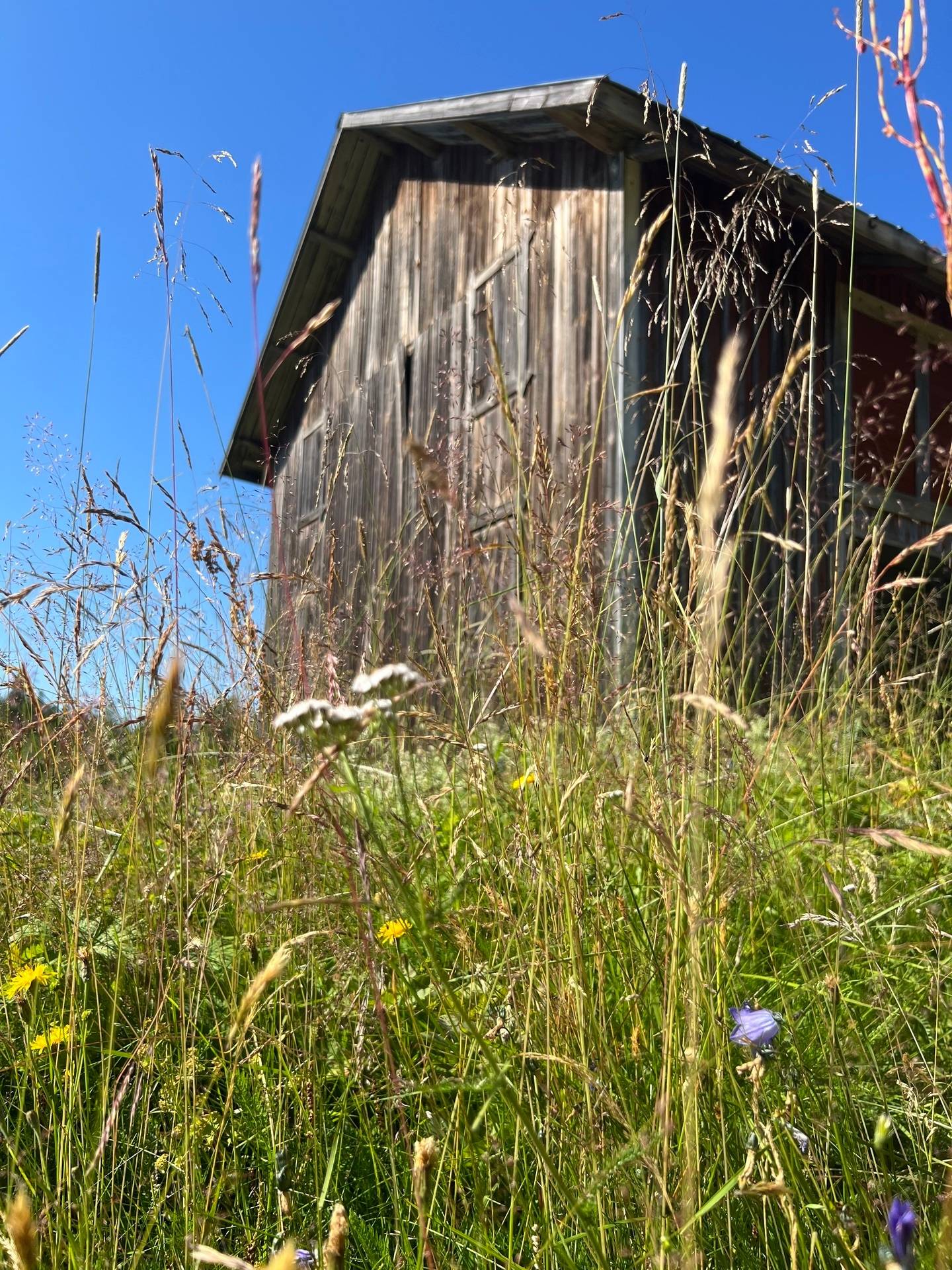Gård/skog på Bördigt vid Norrberg LJUSDAL - NORRBERG Ljusdals kommun - bild 12
