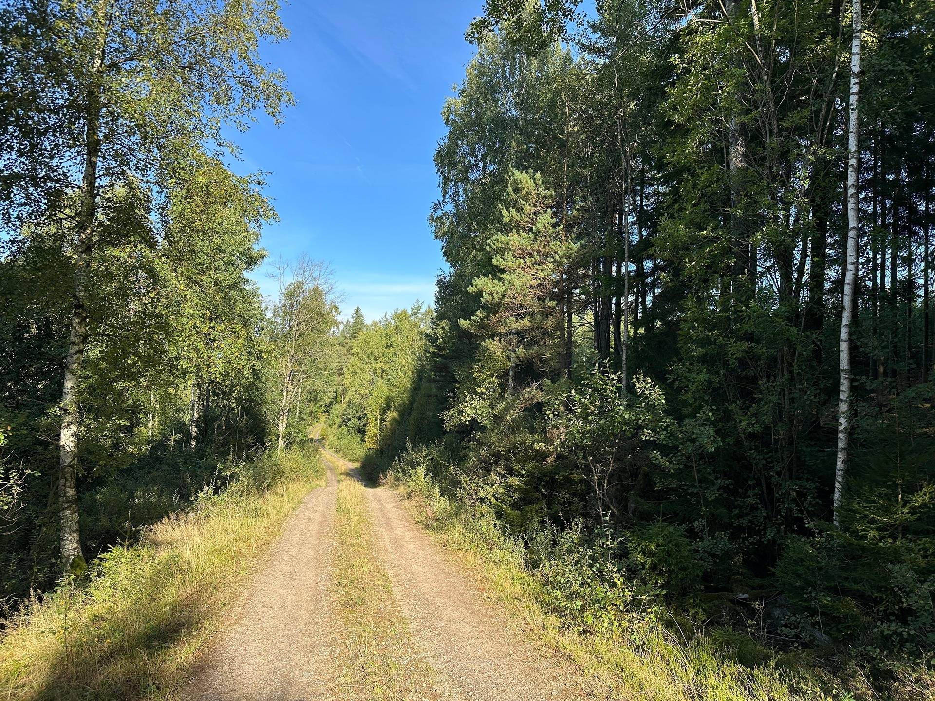 Gård med skogsbruk på MARK ANABÄCKSHULT 2:14 Anabäckshult Marks kommun - bild 5