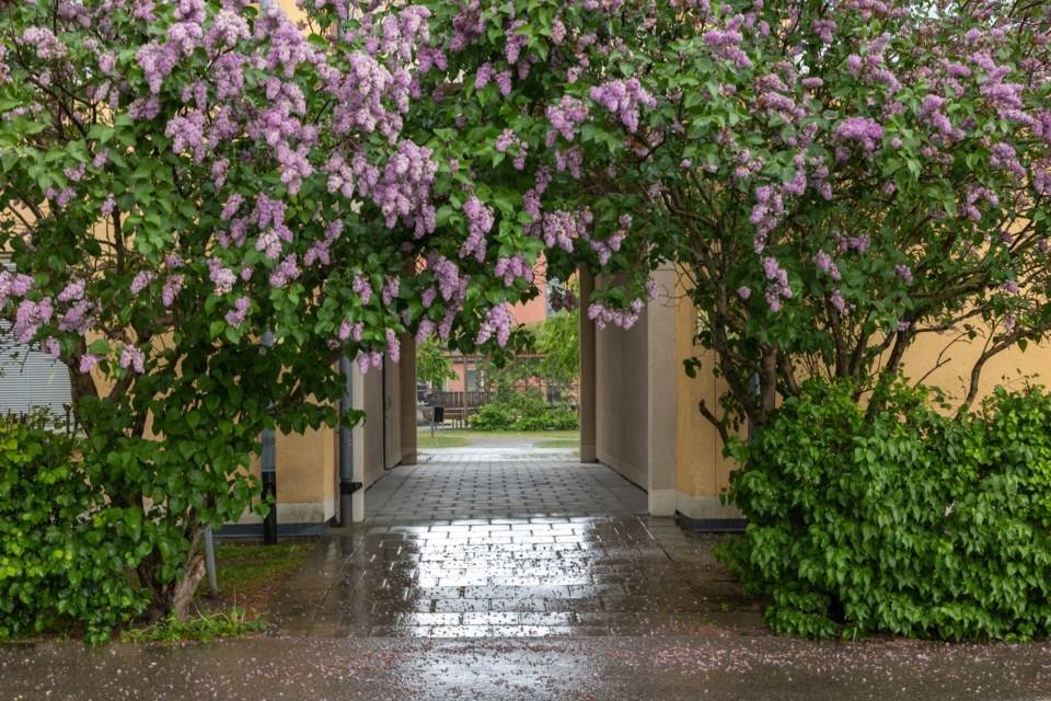4 rum Lägenhet på Salagatan 13 Spånga - Solhem Stockholms kommun - bild 41