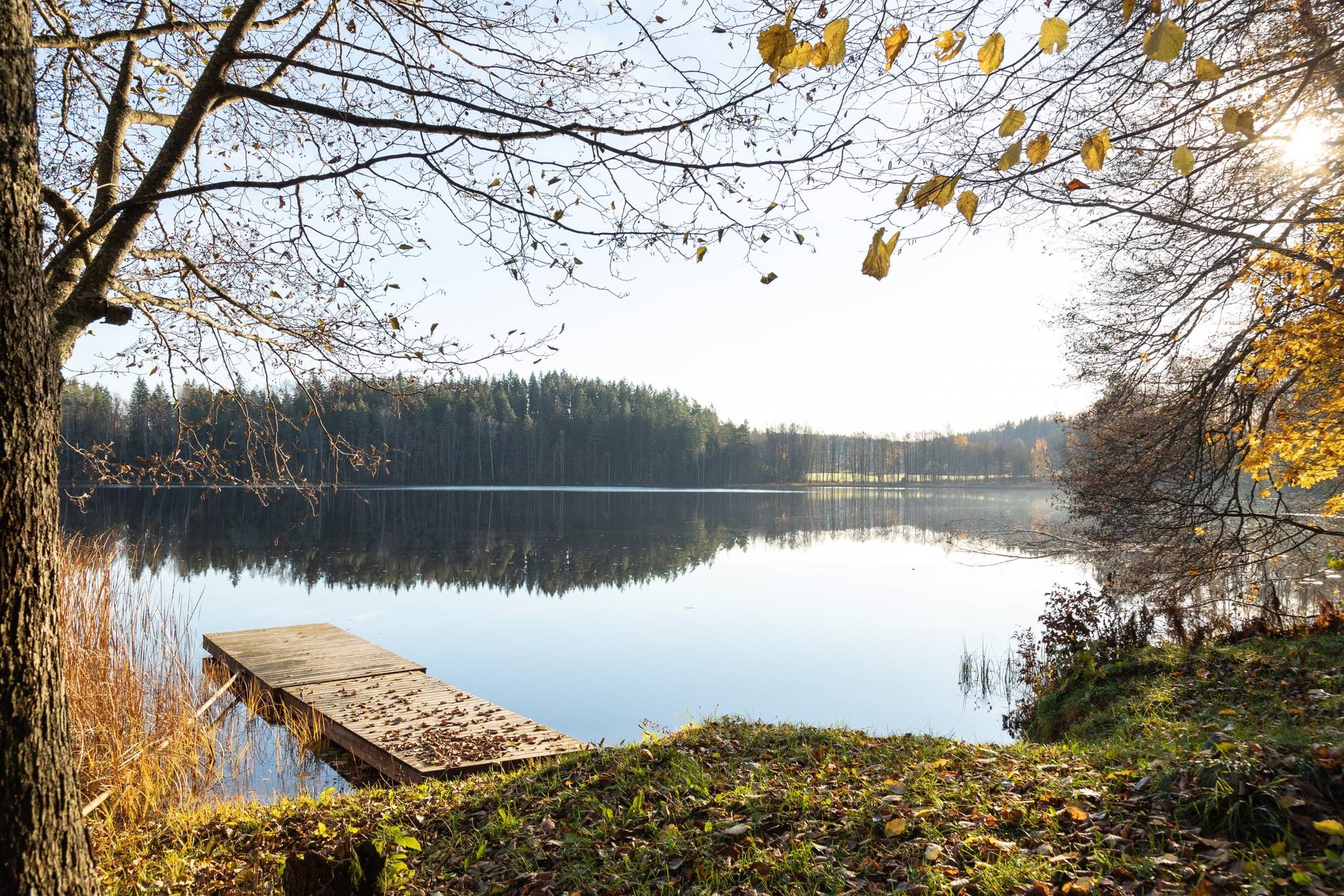 6 rum Gård/skog på Stora Skälhem Änghult 1 Västerviks kommun - bild 48