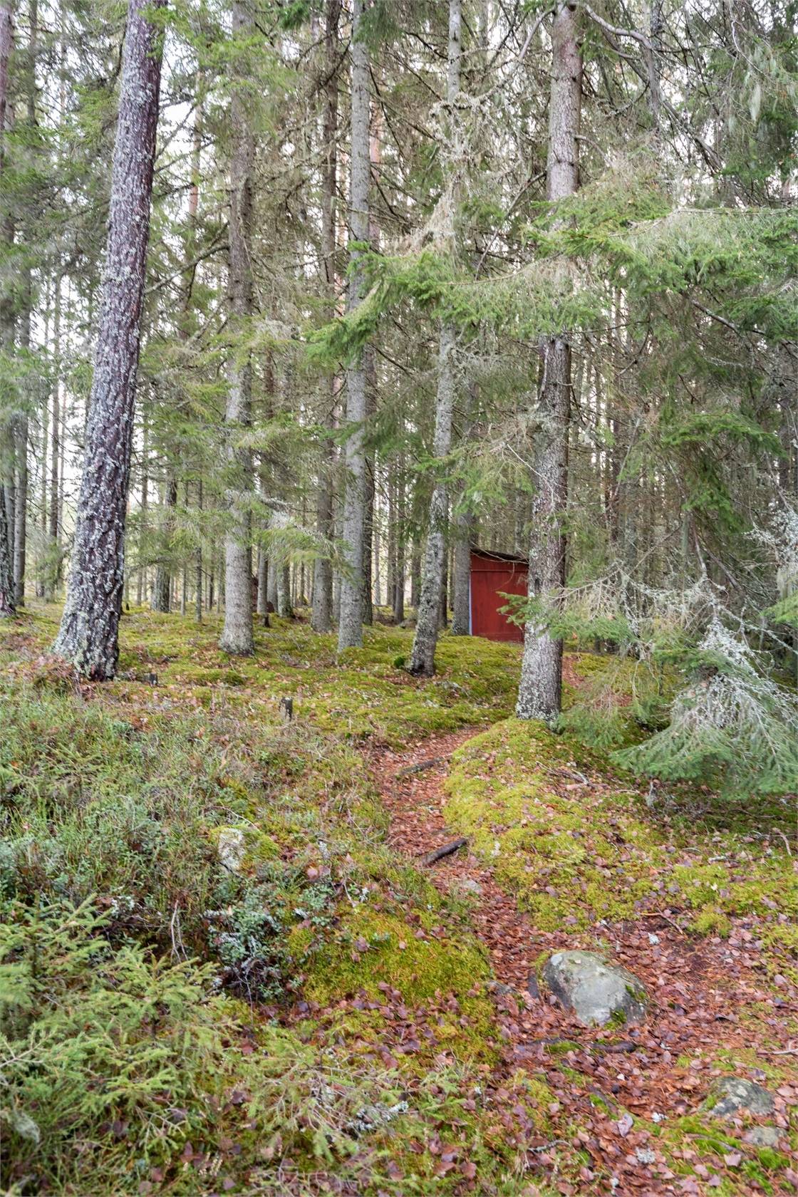 3 rum Villa på Hällsjön 41 Sunne Sunne kommun - bild 9