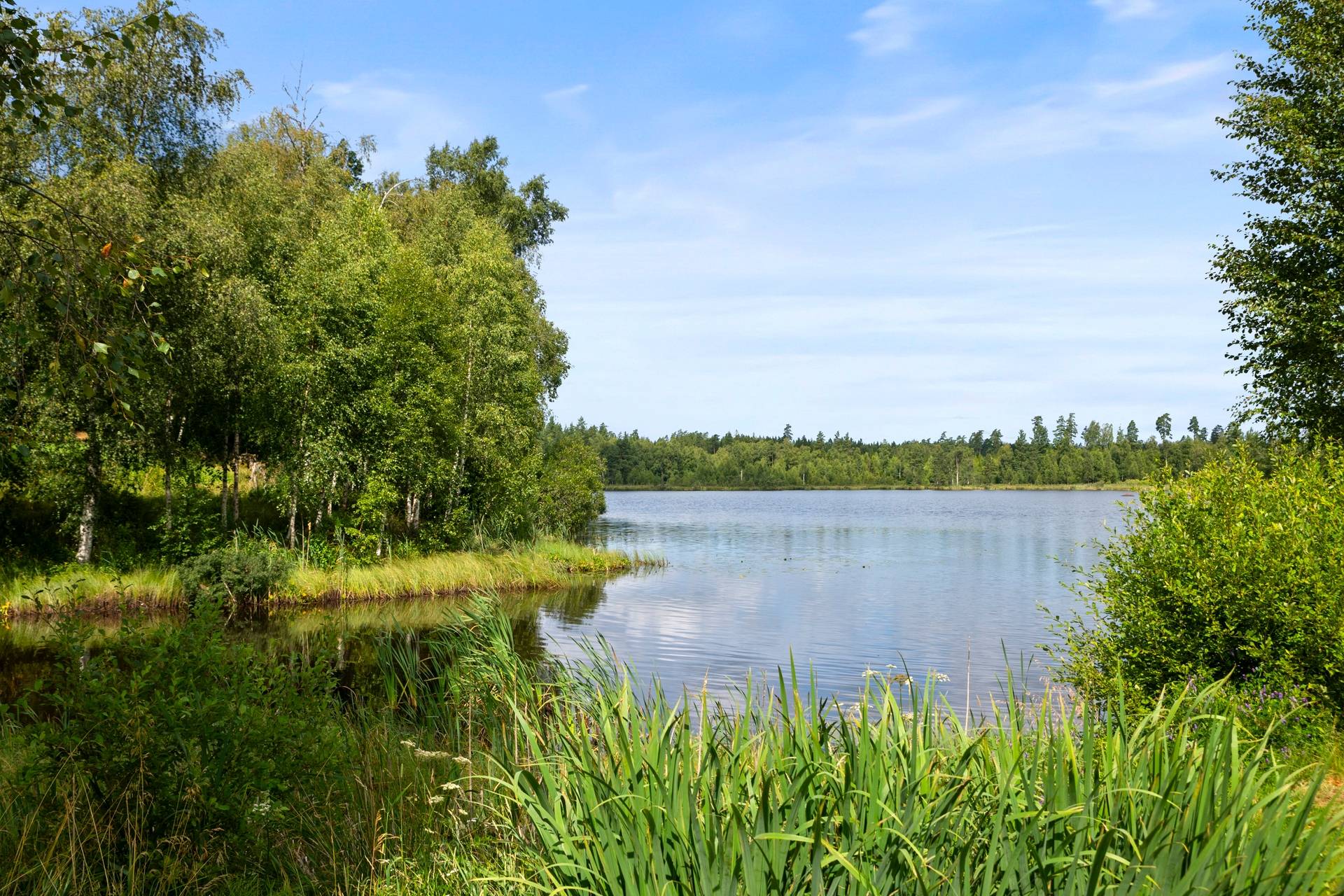 Gård/skog på Hamsarp Sjögården 1257 Osby kommun - bild 35