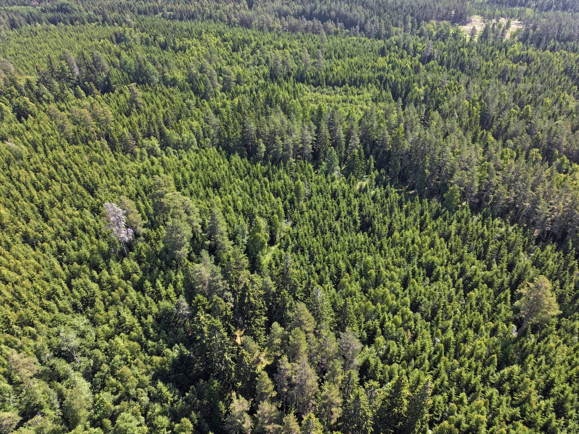 Gård/skog på Trehörna Fågeltorp 1 Ödeshögs kommun - bild 2
