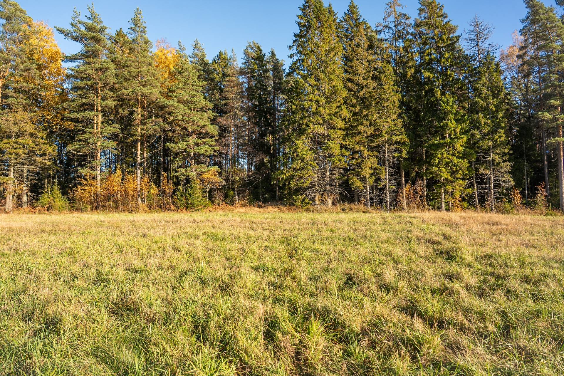 Gård med skogsbruk på Sanda Kristinehamns kommun - bild 22