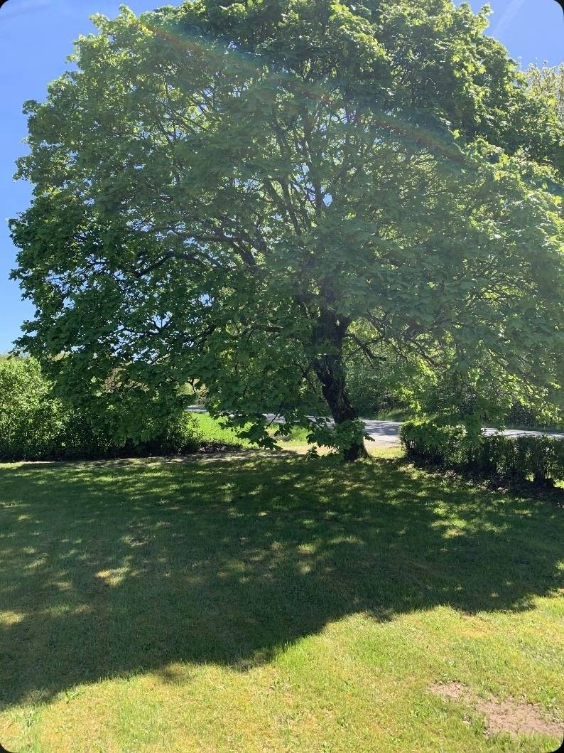 5 rum Villa på Vägasked 109 Norra Rörum Höörs kommun - bild 34
