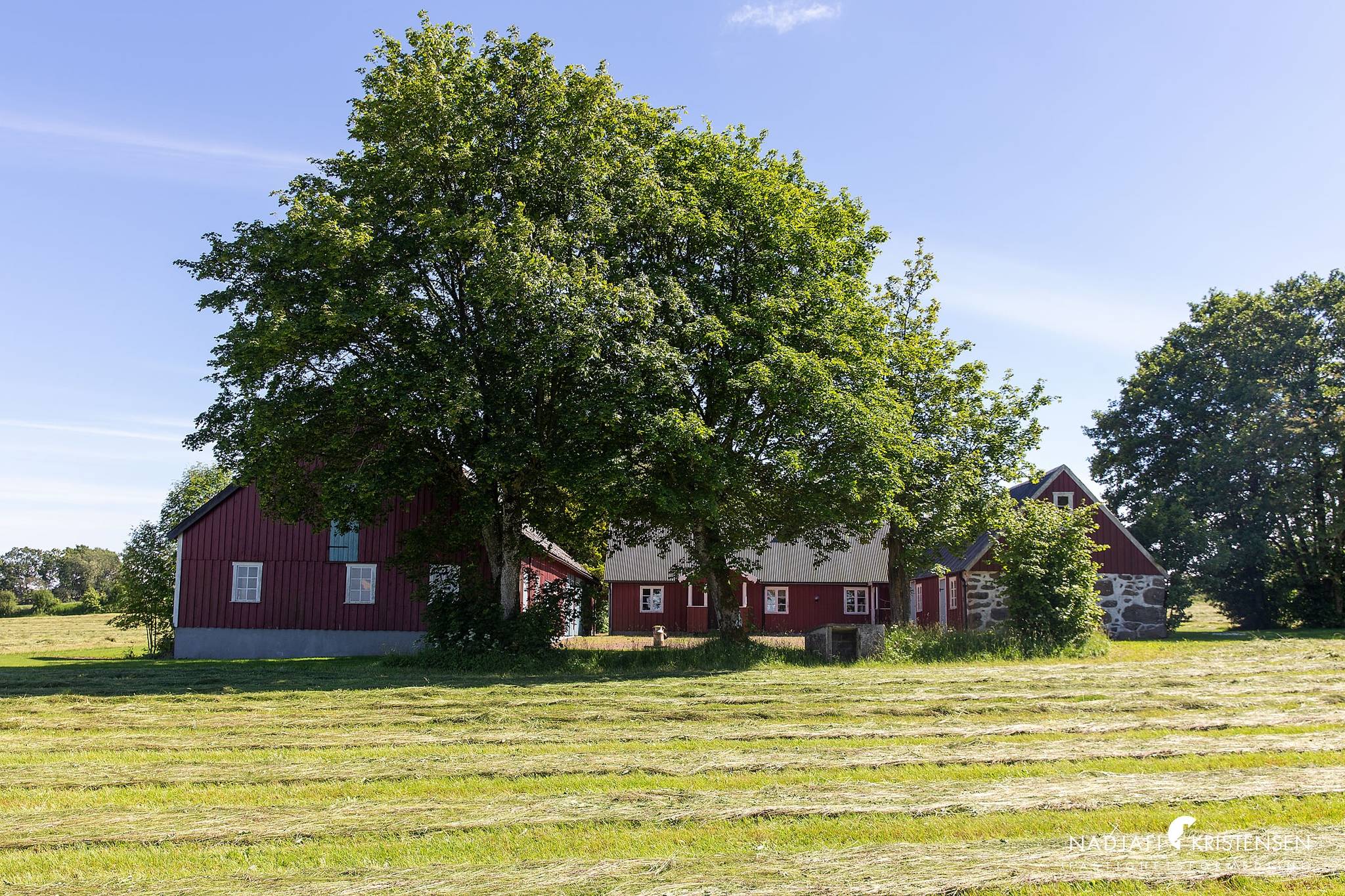 79 m² Gård/skog på Korshögavägen 15 Bjärehalvön Båstads kommun - bild 2
