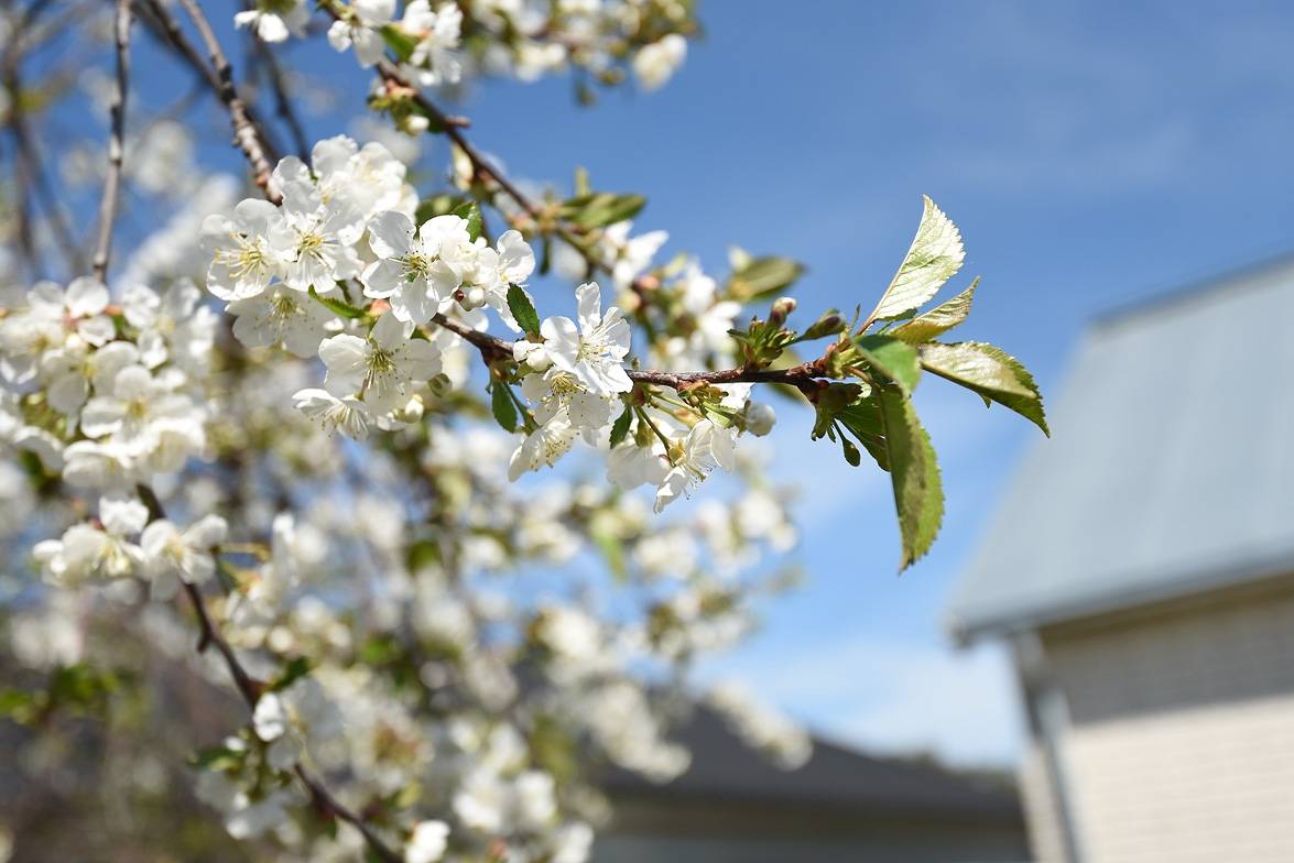 7 rum Villa på Torsgatan 28 Teg Umeå kommun - bild 34