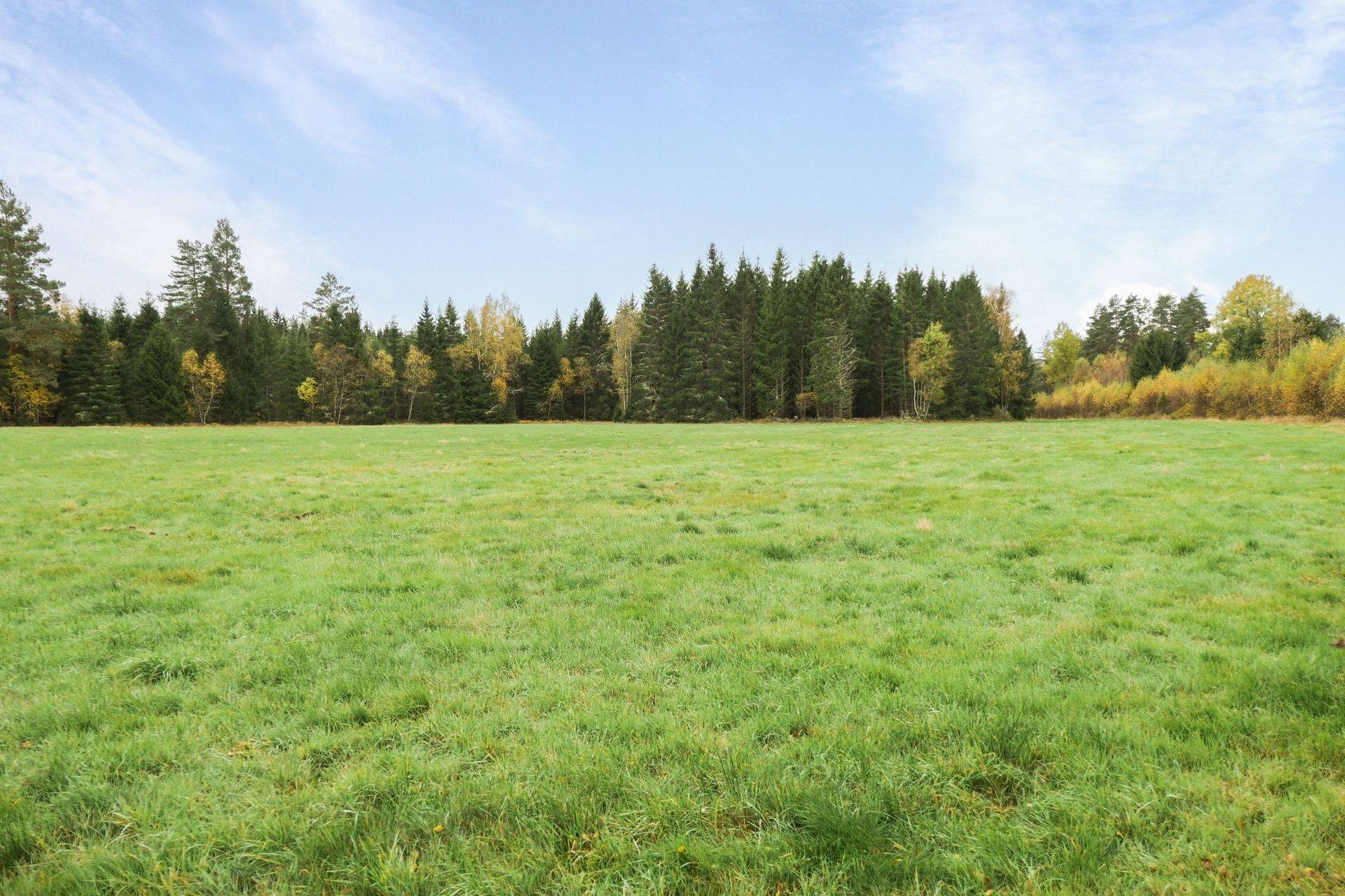 Gård/skog på 56 ha skogsmark med bra bonitet utanför Floby Falköpings kommun - bild 22