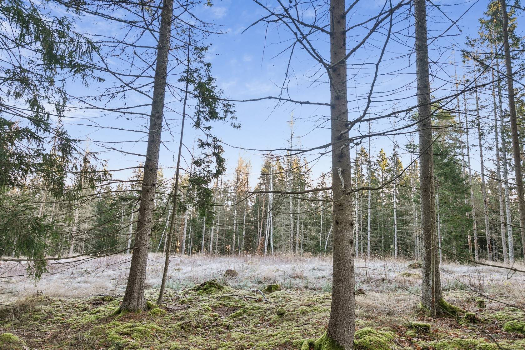 Tomt på Borg Albrektstorp 9 Norrköpings kommun - bild 9