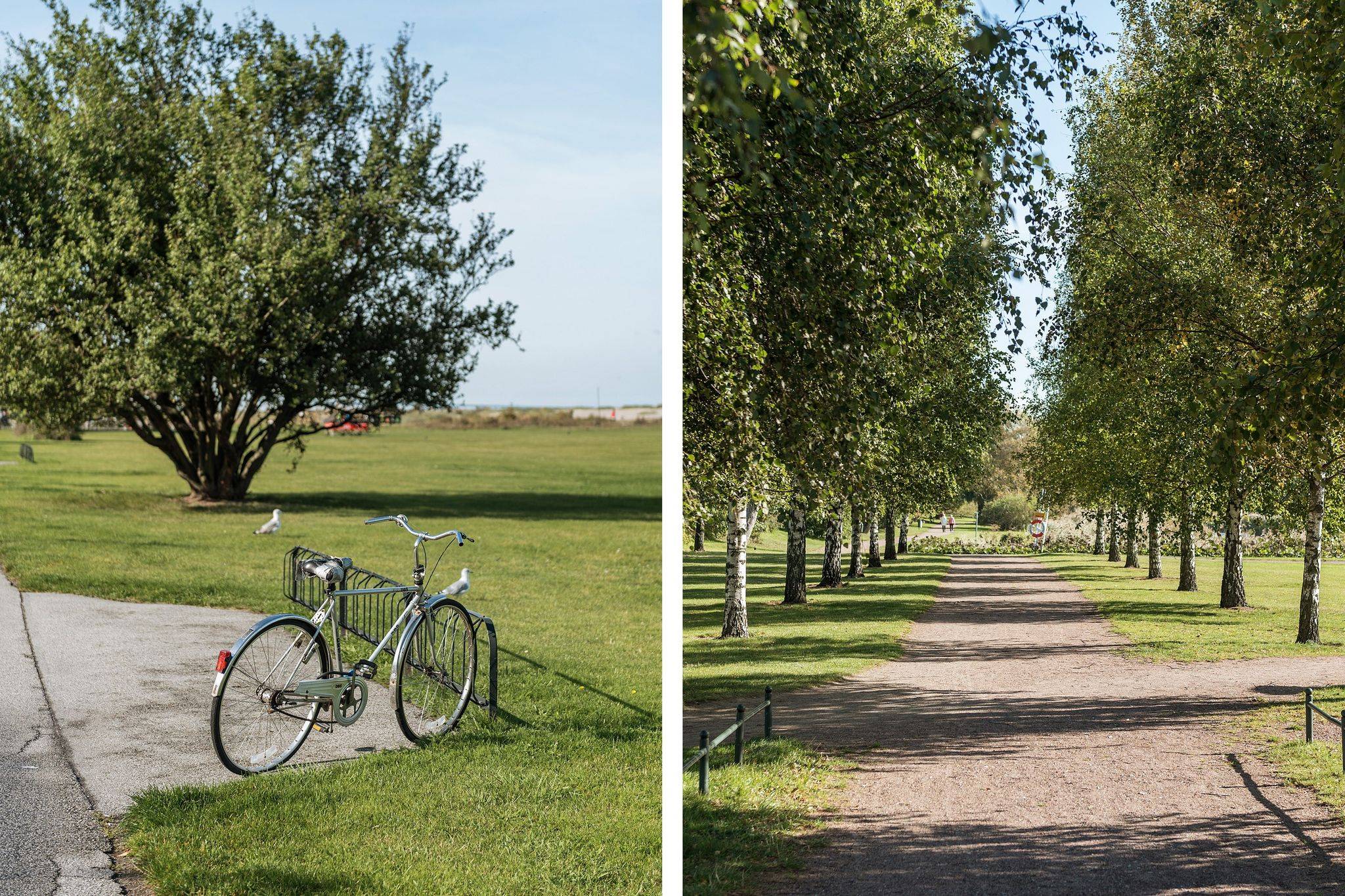 4 rum Lägenhet på Erikstorpsgatan 18 Ribersborg Malmö kommun - bild 44